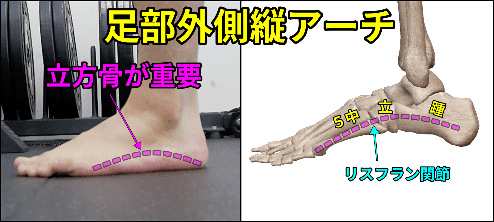 カーフレイズ】小指側にズレる原因と陥るパターン｜距骨下関節回外