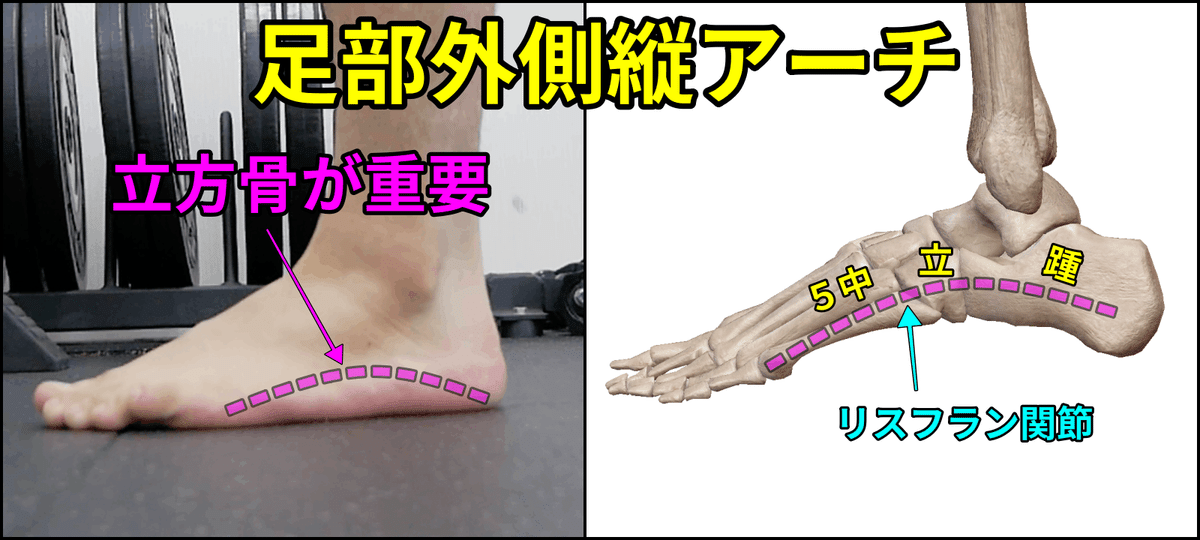 カーフレイズ】小指側にズレる原因と陥るパターン｜距骨下関節回