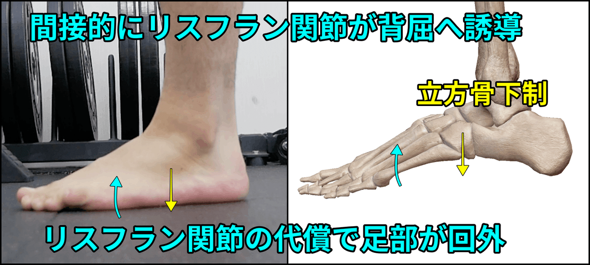 カーフレイズ】小指側にズレる原因と陥るパターン｜距骨下関節回