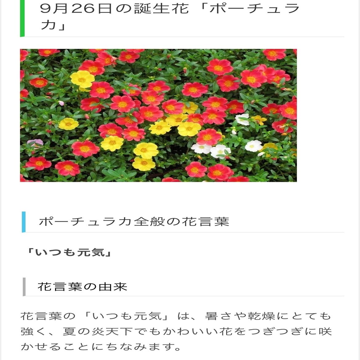 9月26日生まれのあなたへ Chiyo Note
