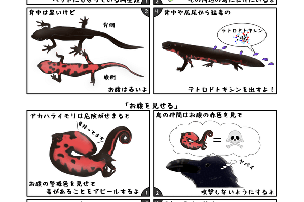 Ztalm2zuc 09m Ztalm2zuc 09m