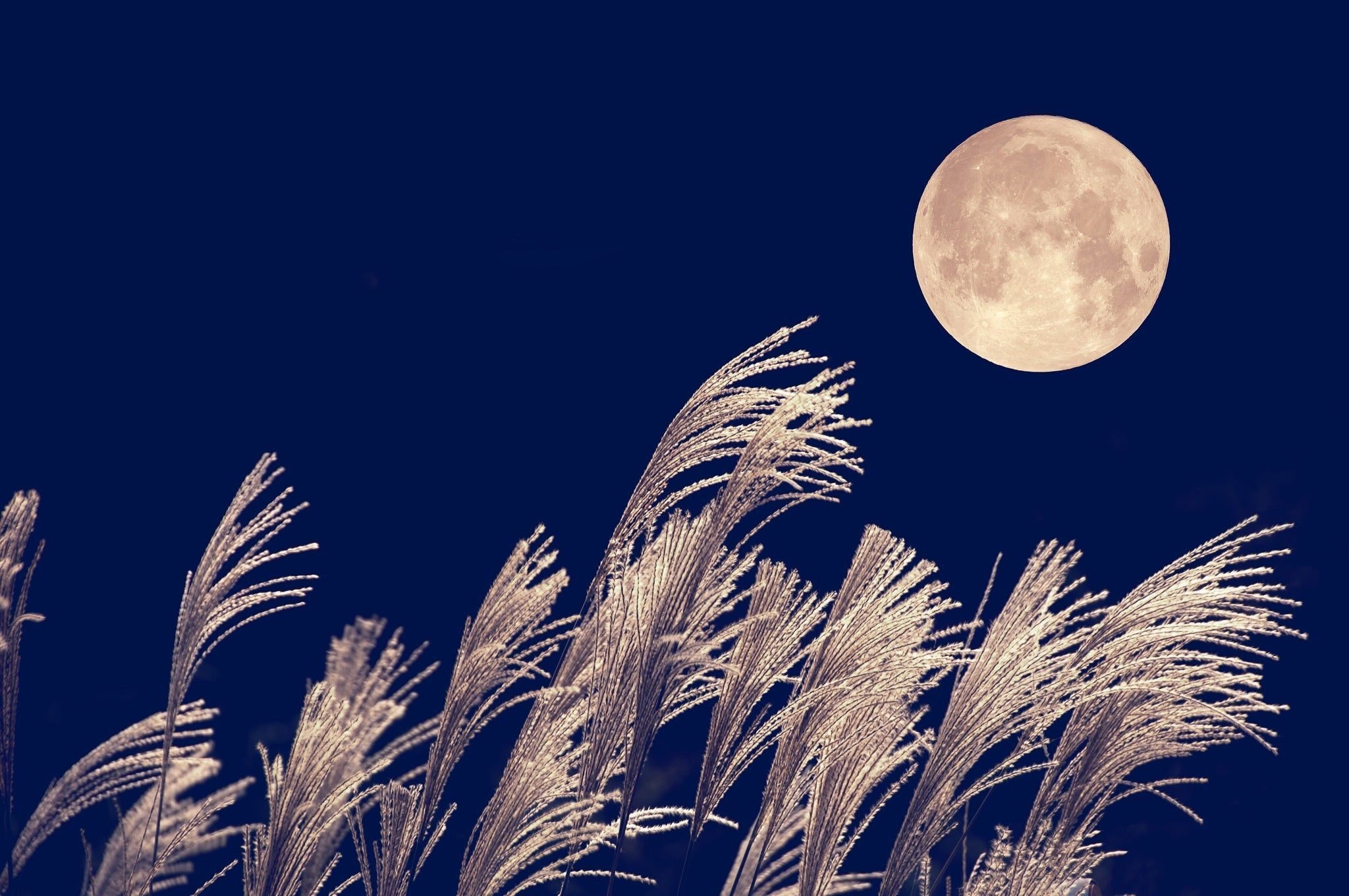 キャンバス絵画「三干支の戯れ・月夜Ⅲ」