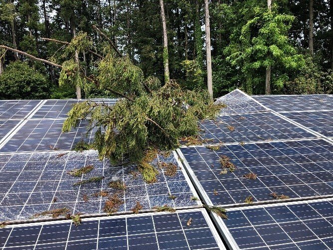 対談vol. 3】期中管理で電気をつくる！～発電所の台風対策について～｜再エネのアセットマネジメント