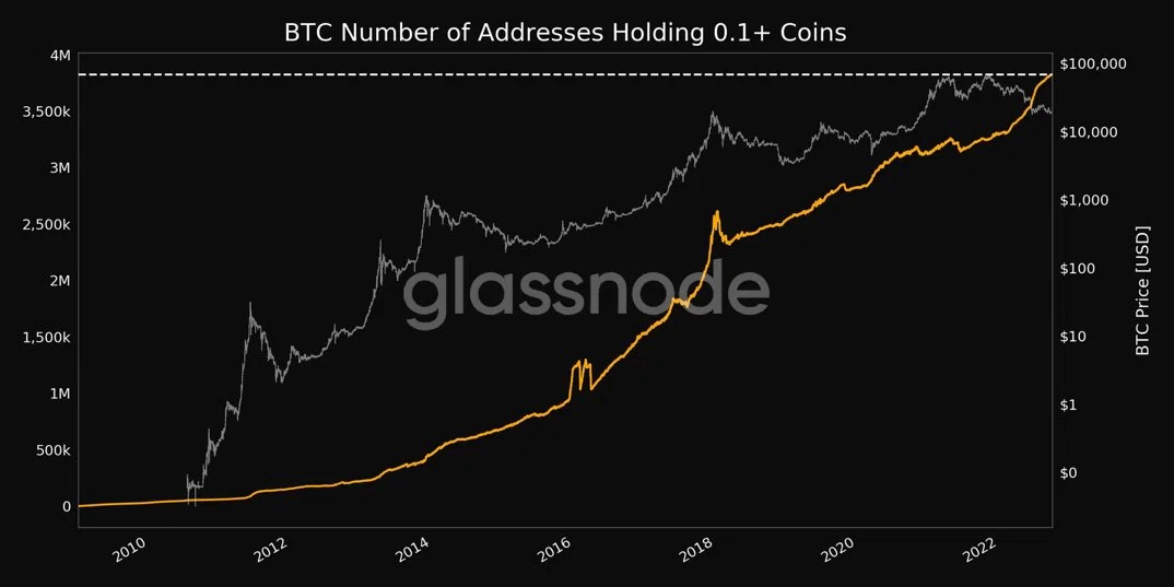 0.1BTC以上保有するウォレットが史上最高値｜ビット仙人｜BTC相場分析×トレード戦略