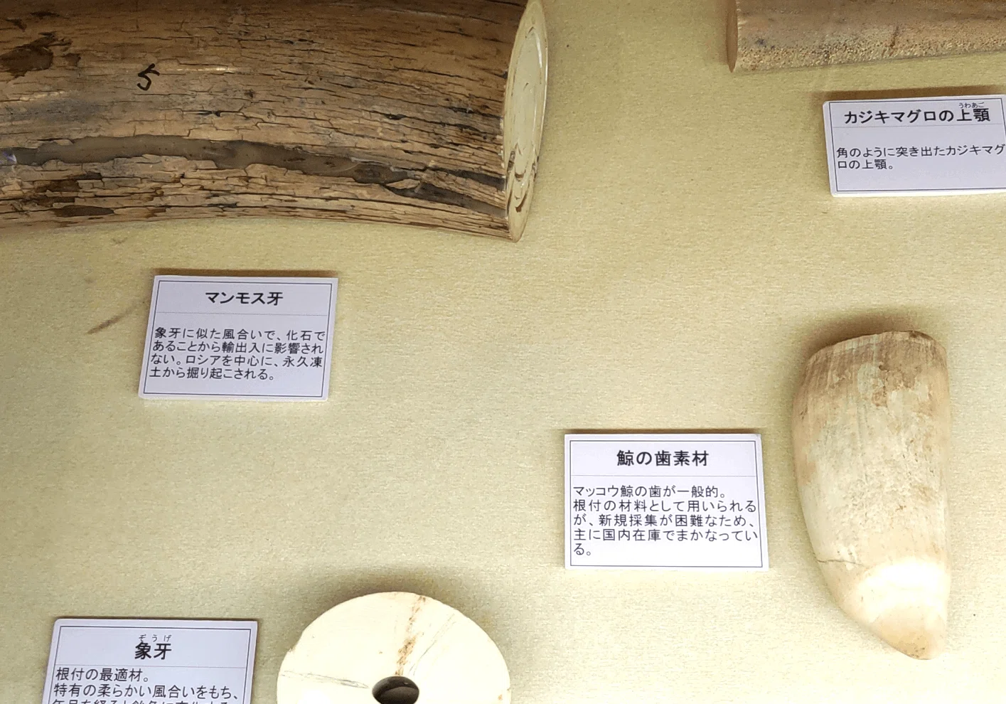 くすっと笑える現代の工芸品 ‐企画展 根付×日本刀‐｜のんてり