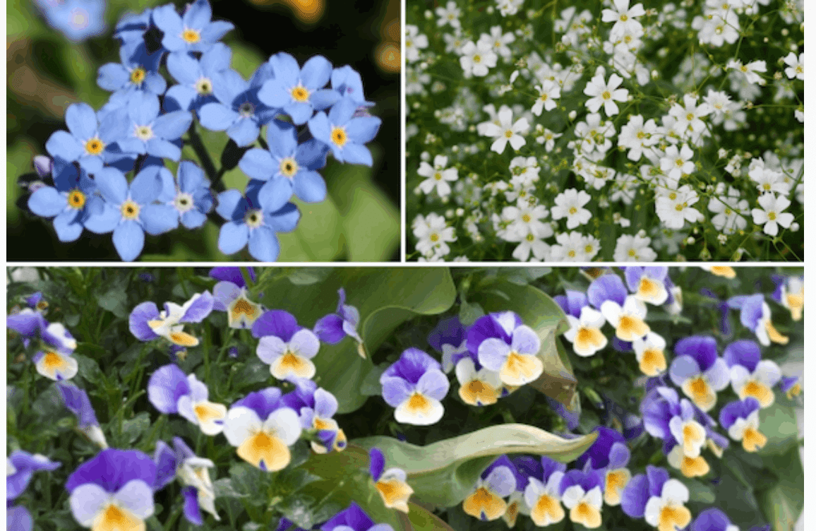 日本みつばち🐝が増えることを願ってつくった、花咲く和紙のみつばち