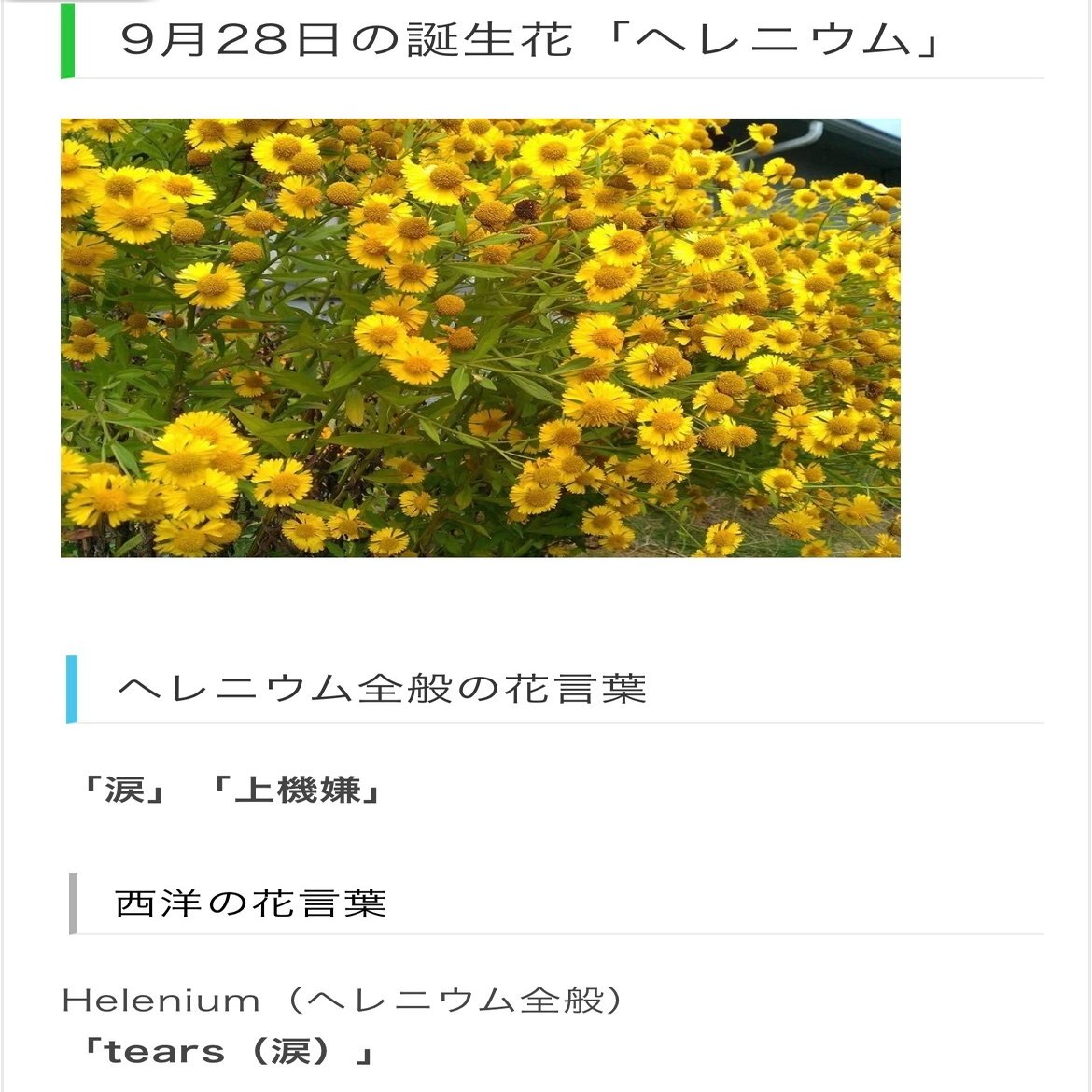 9月28日生まれのあなたへ Chiyo Note