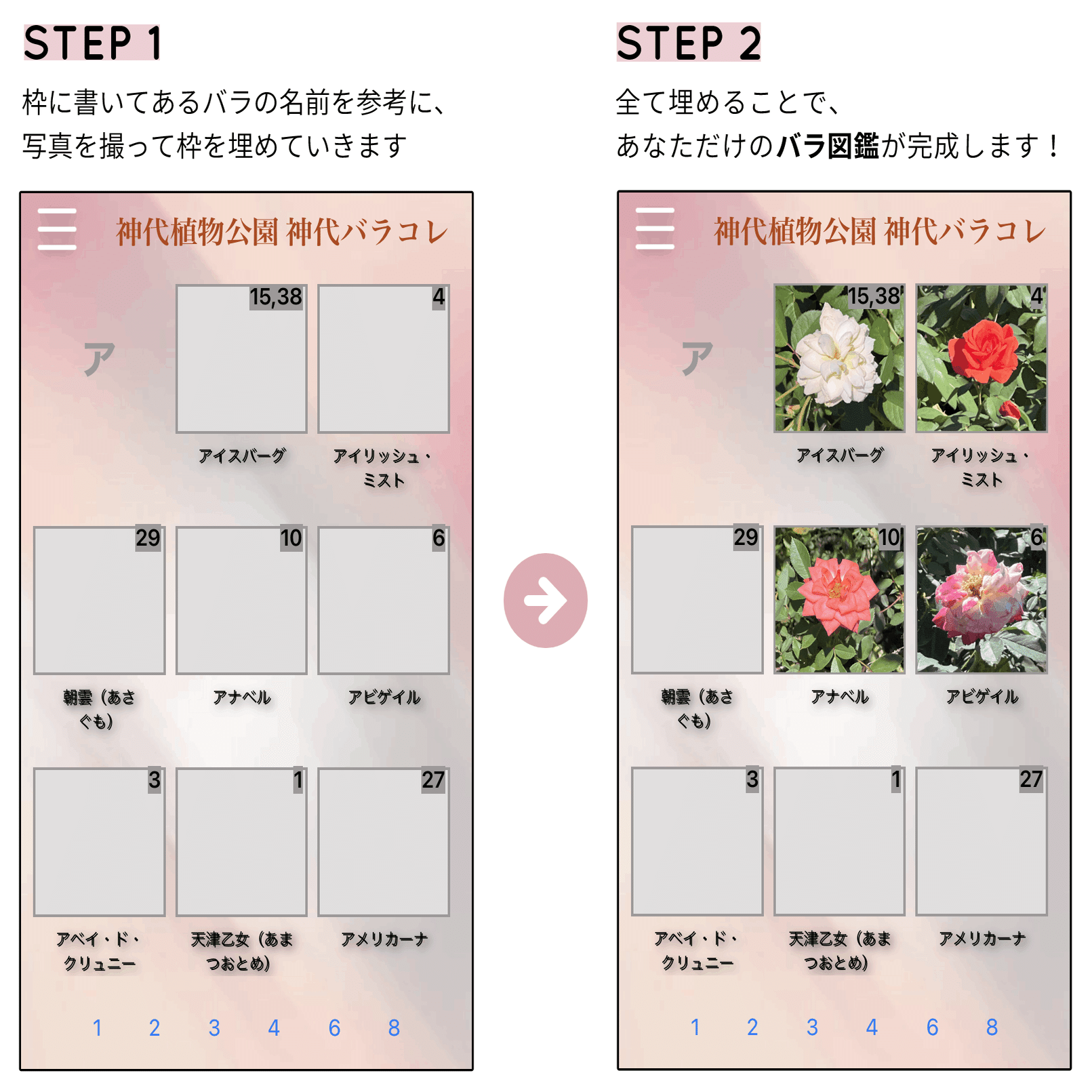 千葉工大 ステアラボ と東京都公園協会がコラボ Aiを使って バラをもっと楽しんでいただけるプロジェクトを始めます Stair Lab Note