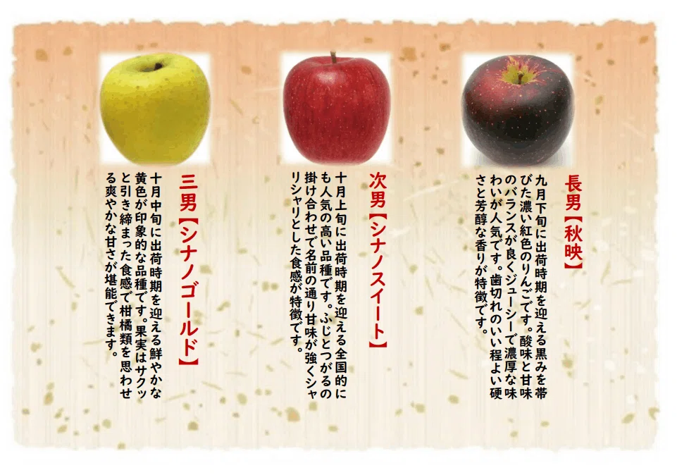 好評により継続】信州生まれのりんごジュース3種飲み比べ「りんご3