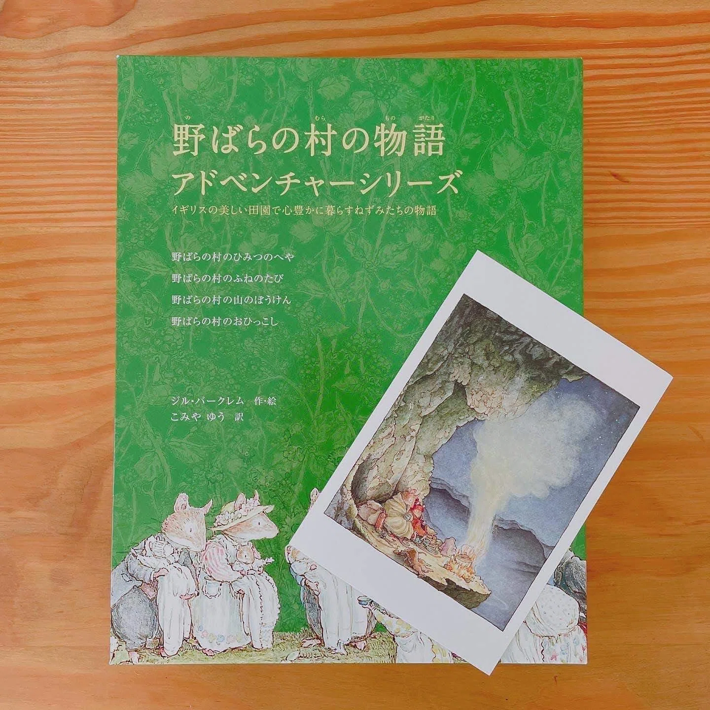 野ばらの村の物語 〈アドベンチャーシリーズ〉セットケース｜小宮 由
