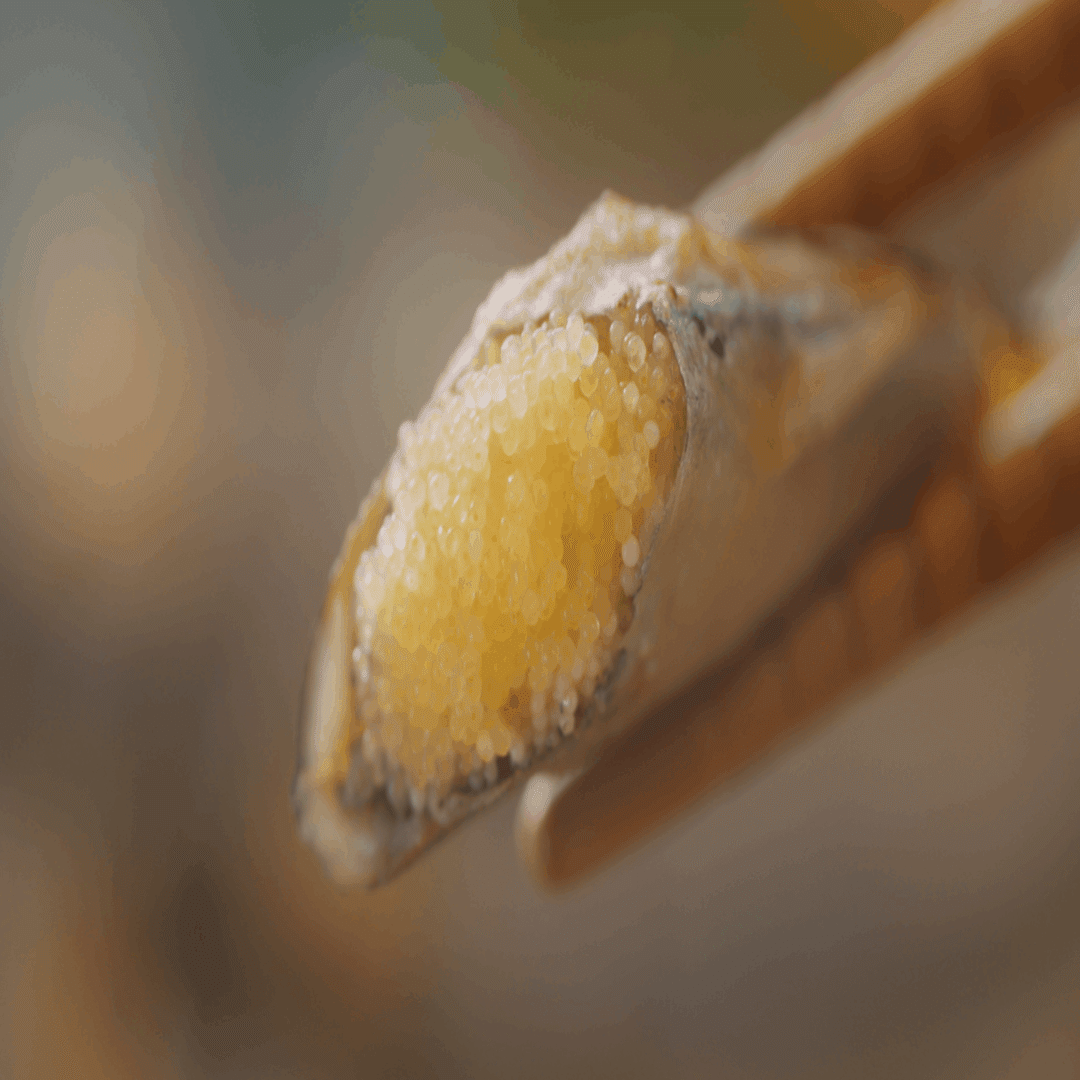 一回食べたらリピートせずにはいられない！卵ぎっしり脂のり抜群な美味