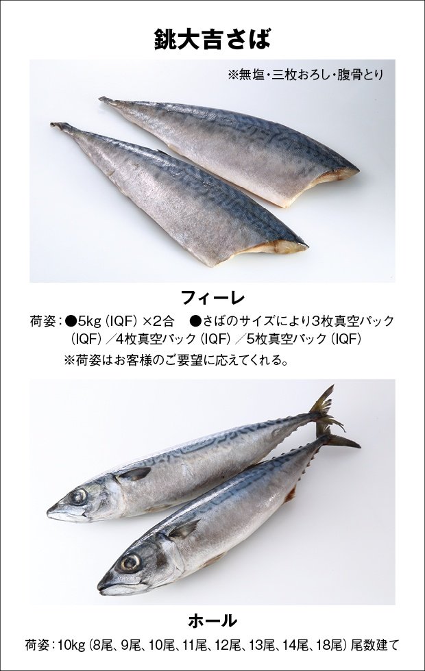 素材のちから 銚大吉さば 参上