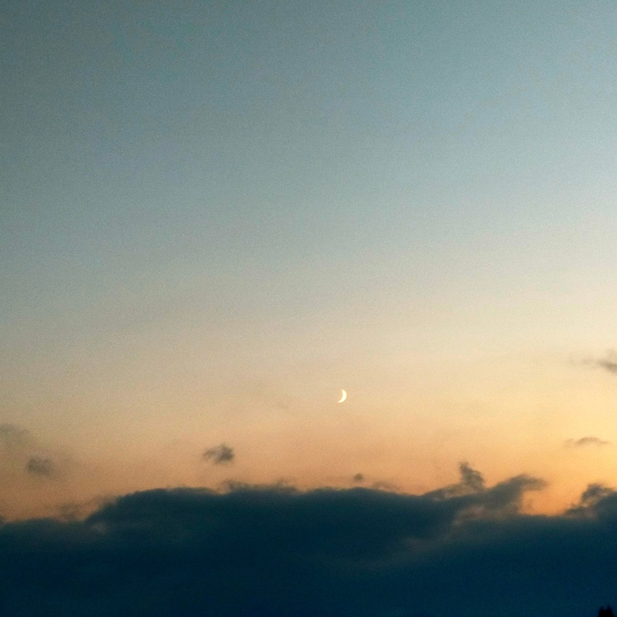 オレンジ色の三日月 No 130 おかちゃん Note オレンジ色の三日月 No 130 おかちゃん Note