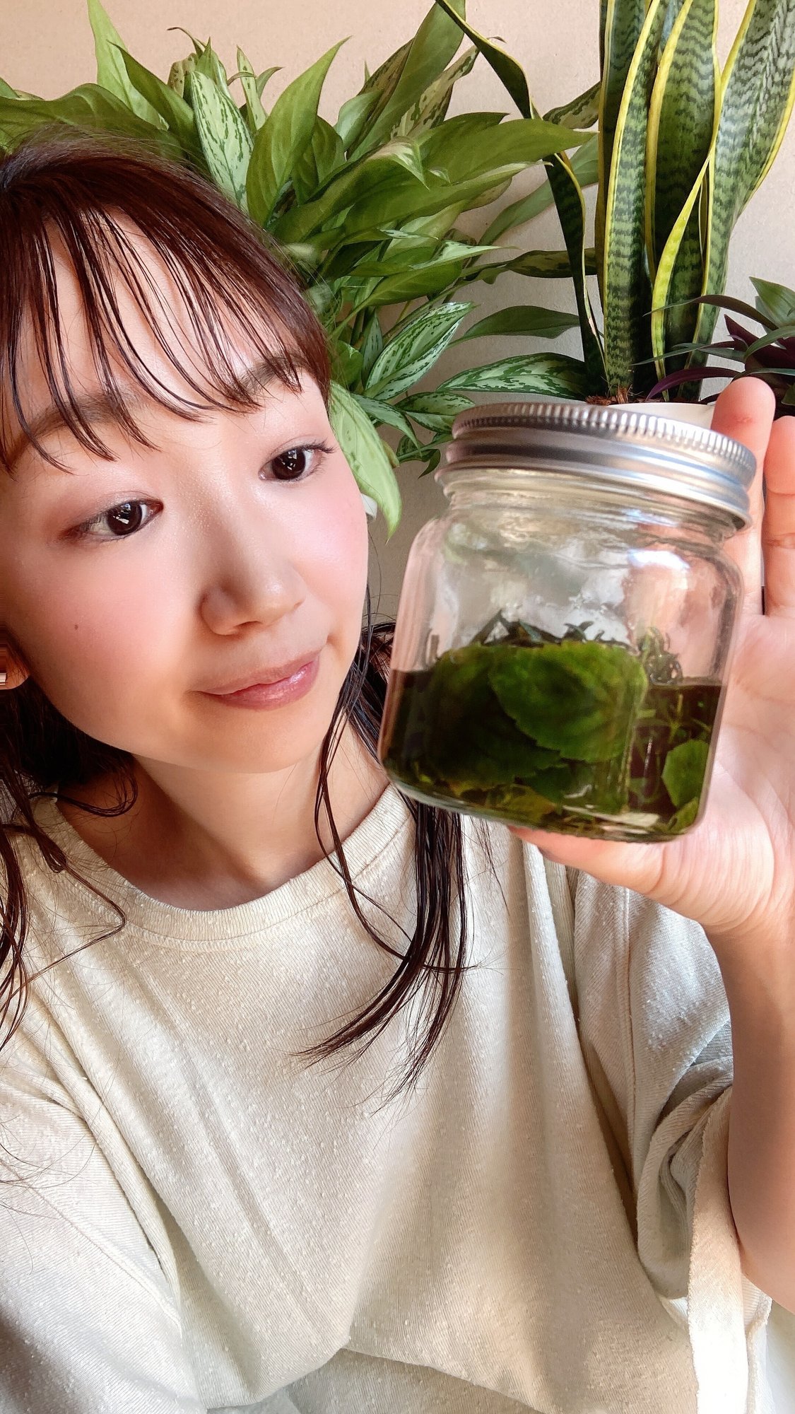 Minority流ハーブチンキ深掘り解説 Mi No Ri Ty Note Minority流ハーブチンキ深掘り解説 Mi No Ri Ty Note