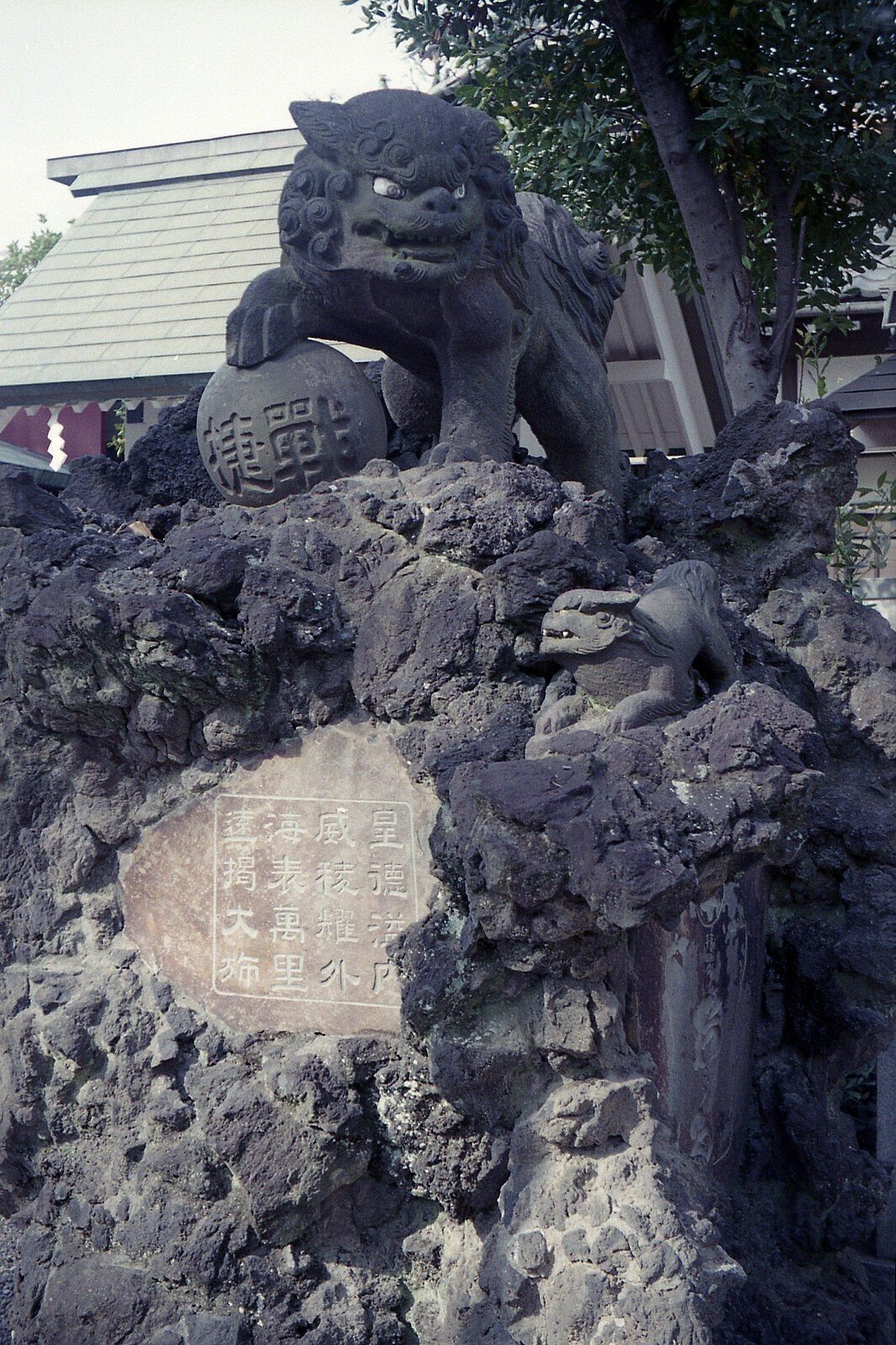 コダック レチネッテ Kodak Retinette｜robert_oku