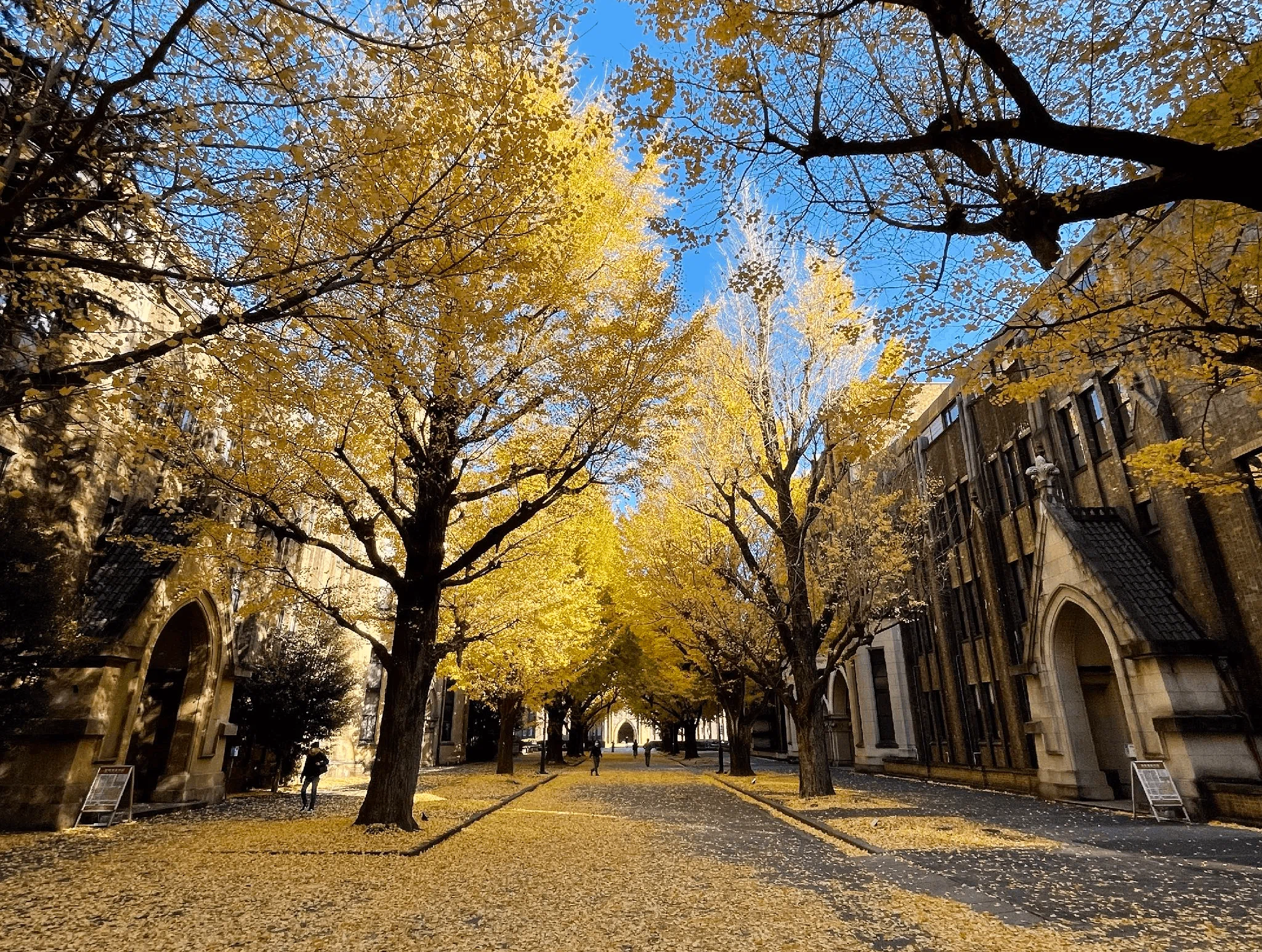 東京大学・言語学研究室の紹介｜長屋尚典