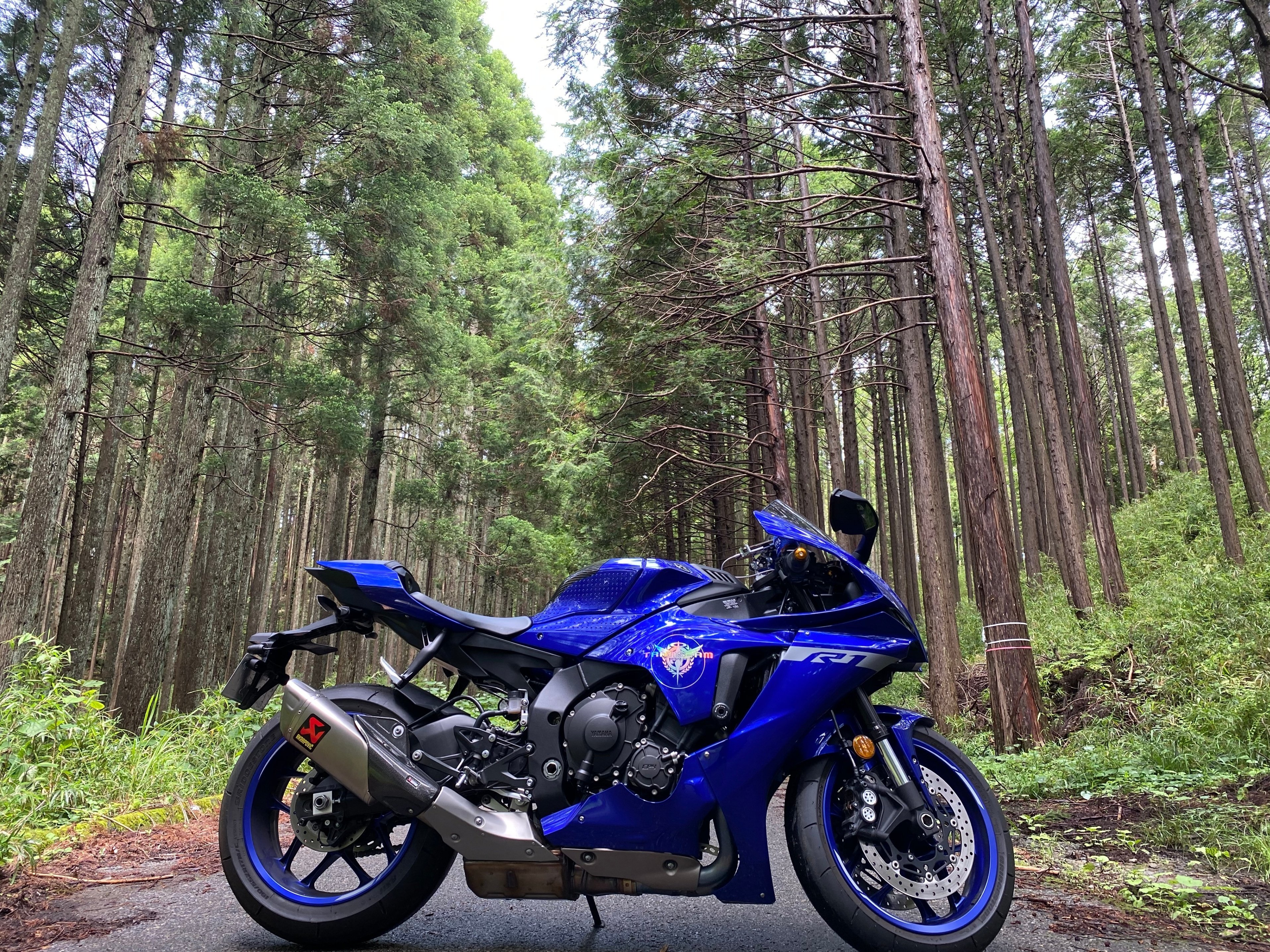 初売りセール cbr1000rr-r用 （Nono様用） （タミヤ 1/12 マスターワーク パーツ
