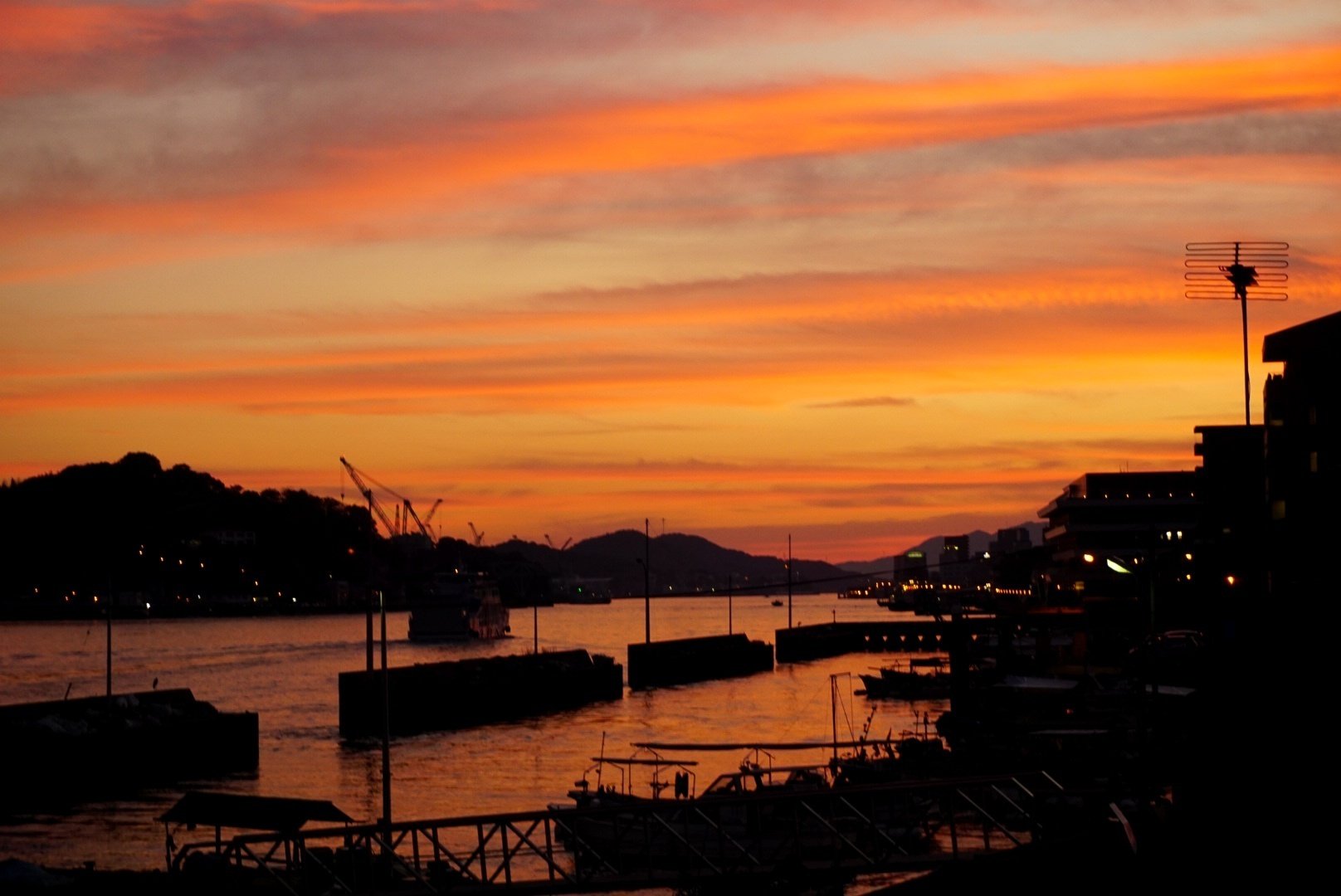 いつまでも、どんなときでも見ていたくなる景色に会いに｜misaki｜散歩