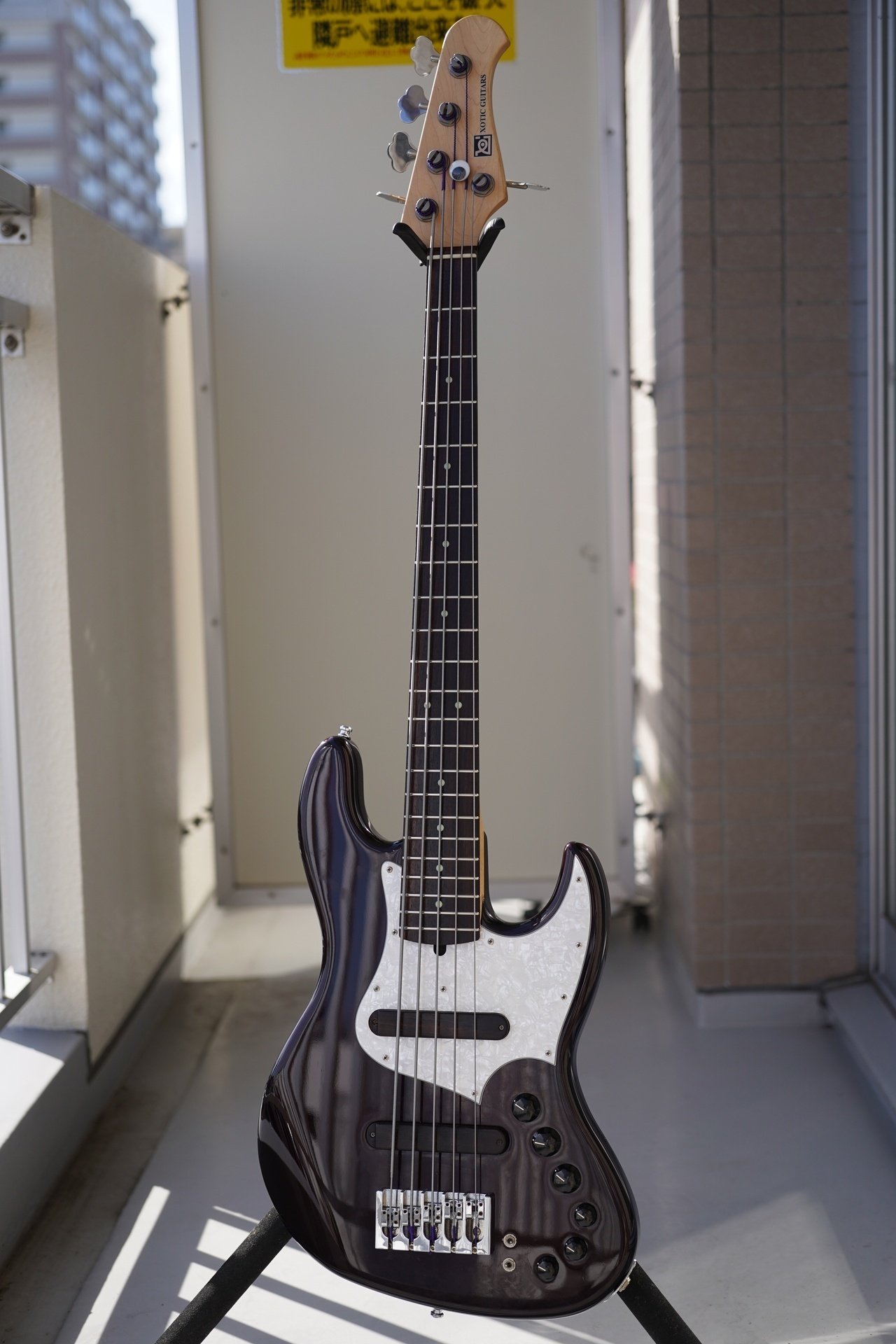 Dingwall ABI XXX 5弦 カナダ製 カスタム 希少モデル おまけ有 Dingwall ABI XXX 5弦 カナダ製 カスタム 希少モデル おまけ有