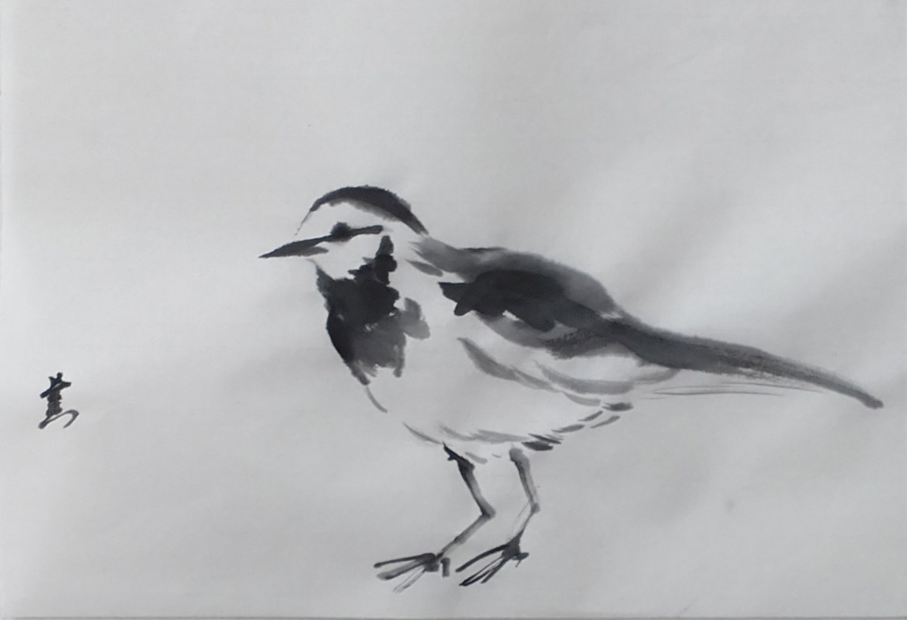 水墨画 鳥の絵 墨でハクセキレイ｜KaoRu IsjDha