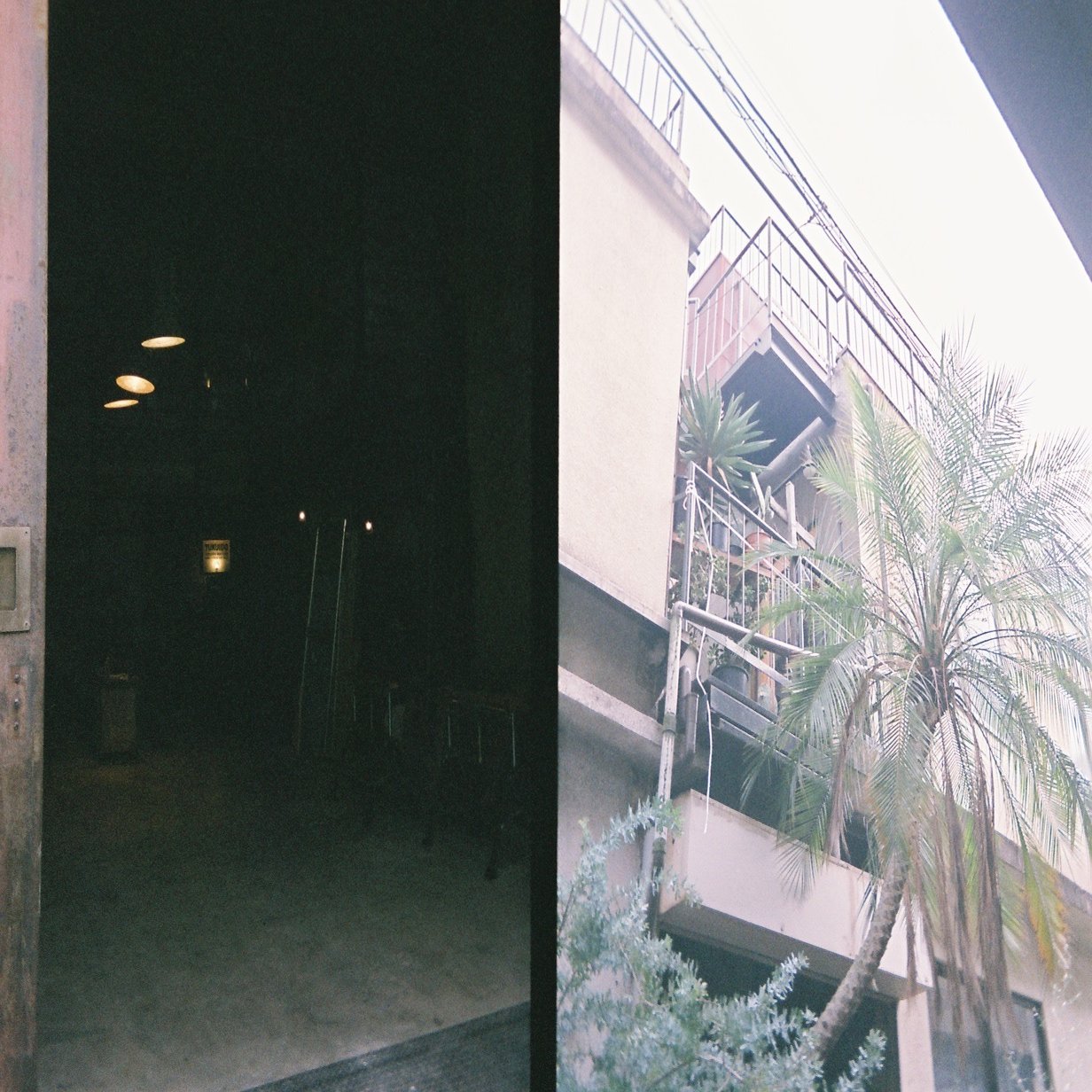 Kodak Ektar H35 ハーフカメラのファーストロール ちーぼー Note