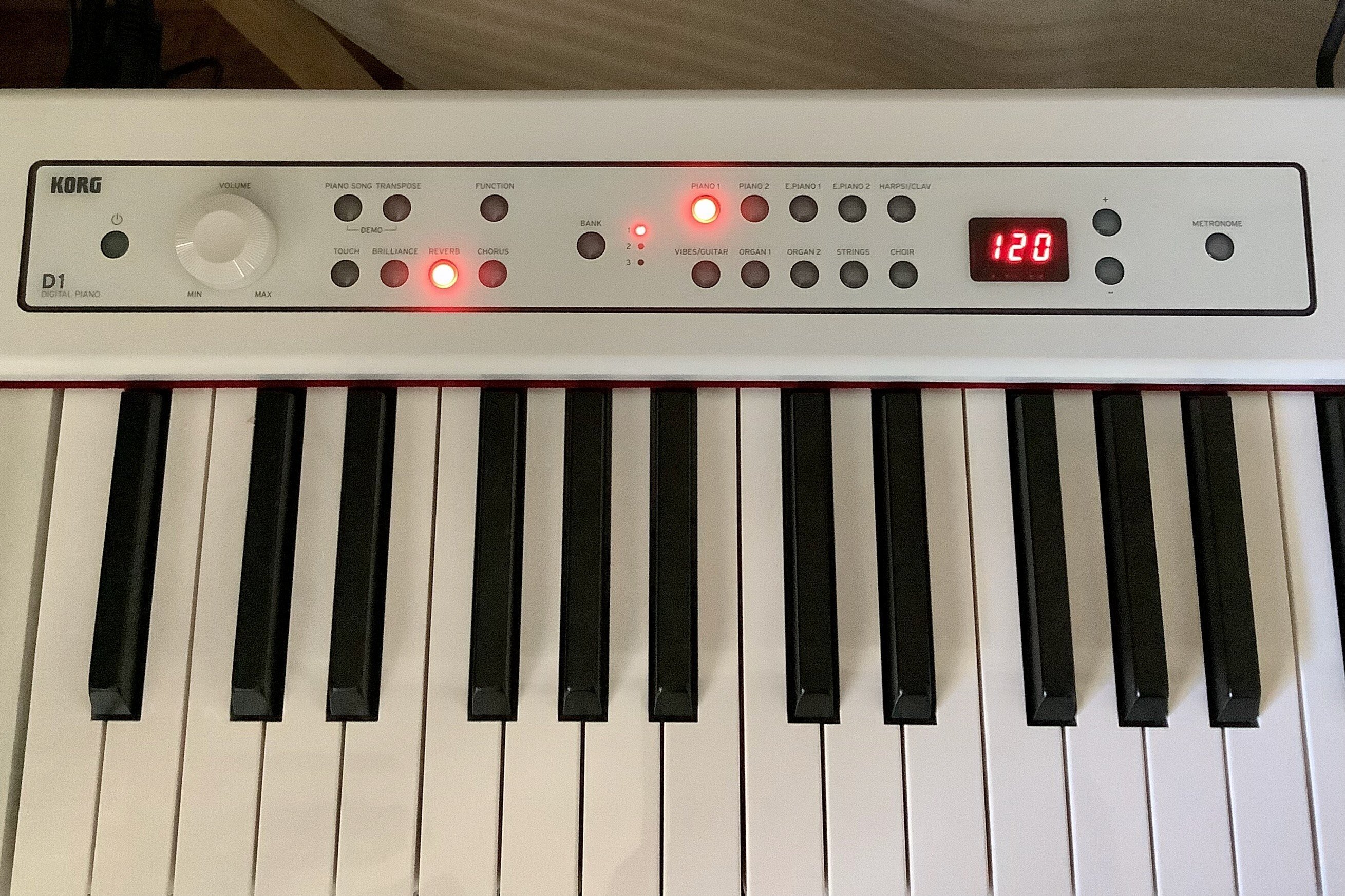 直接のお渡し限定】KORG D1 電子ピアノ