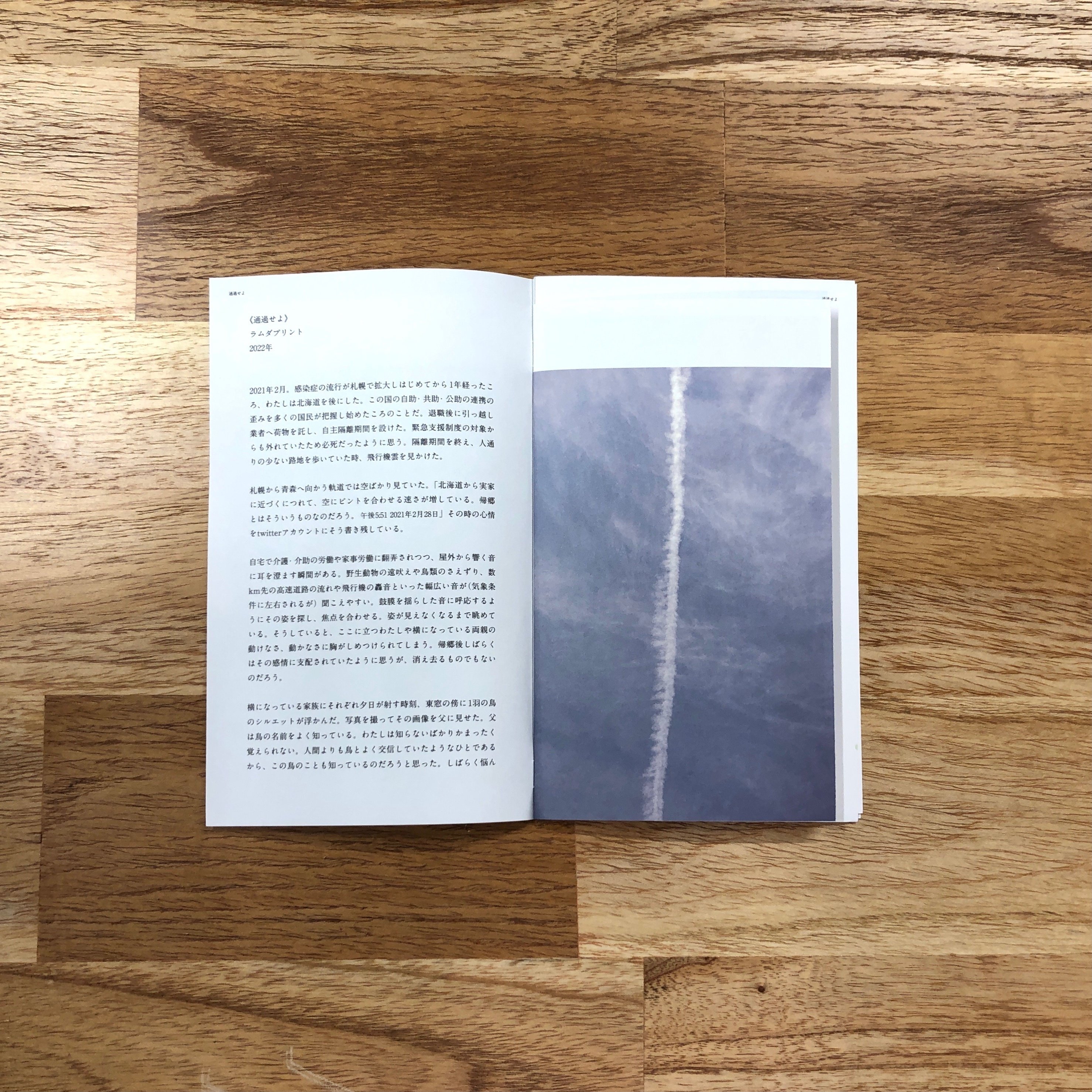 嶋田しづ◆リトグラフ作品◆70部◆サインあり◆新品額装済み◆制作年代不明◆1 藤田嗣治 「金貨（四十雀より）」 制作年：1963年 技法