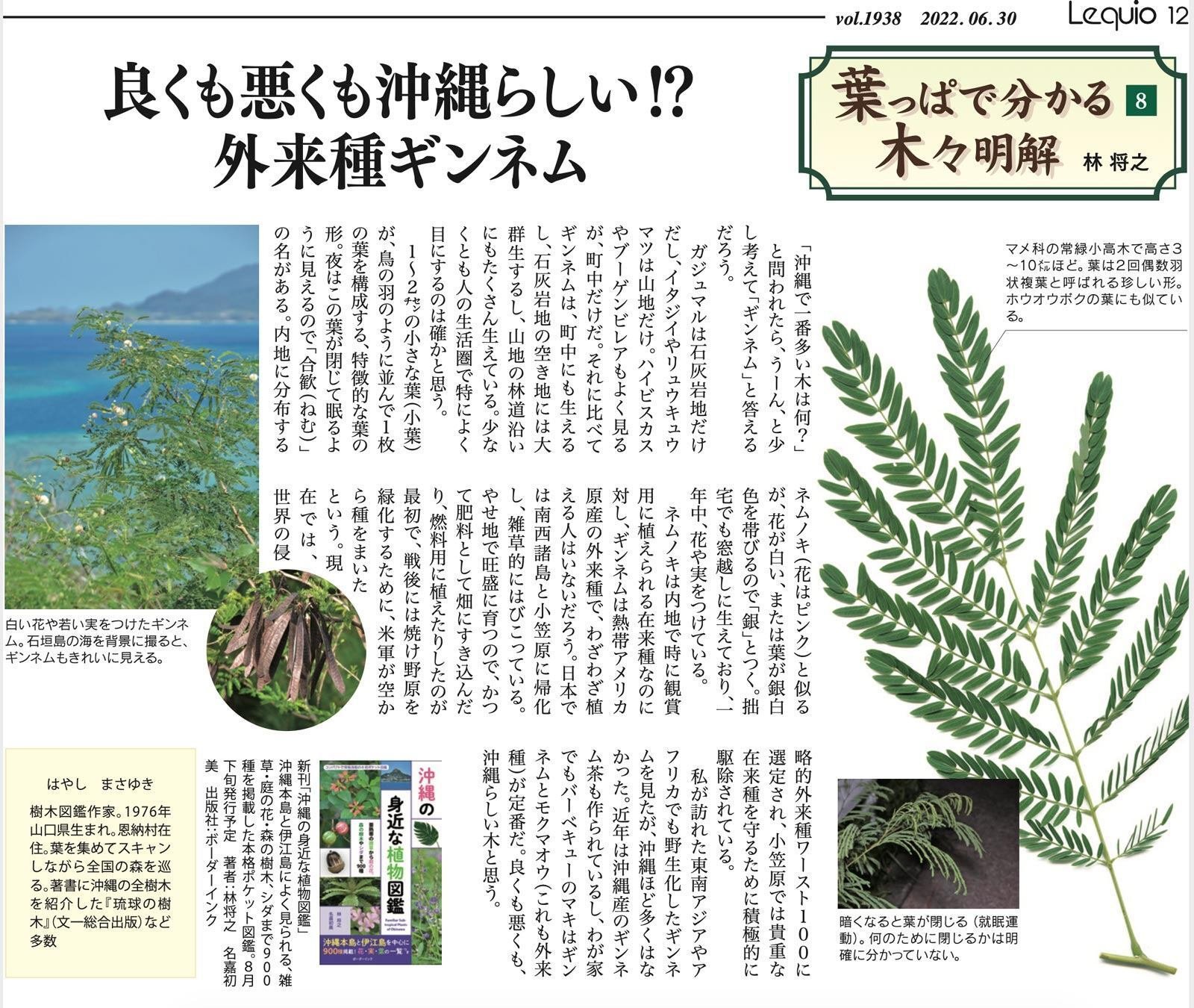 良くも悪くも沖縄らしい 外来種ギンネム 林 将之 Masayuki Hayashi Note 良くも悪くも沖縄らしい 外来種ギンネム 林 将之 Masayuki Hayashi Note