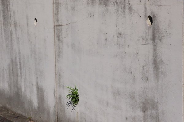 シミュラクラ現象 の新着タグ記事一覧 Note つくる つながる とどける シミュラクラ現象 の新着タグ記事一覧 Note つくる つながる とどける