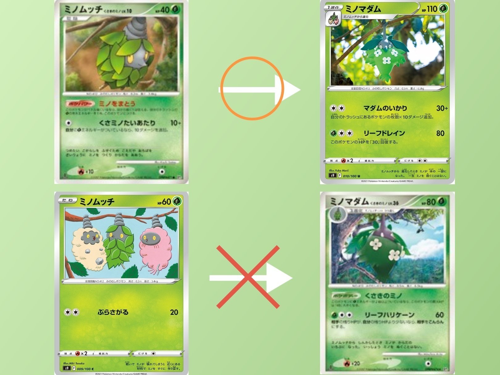 ポケカのややこしい名前の仕様の話[殿堂]｜リユルン