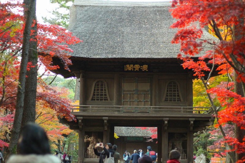 新座市の平林寺