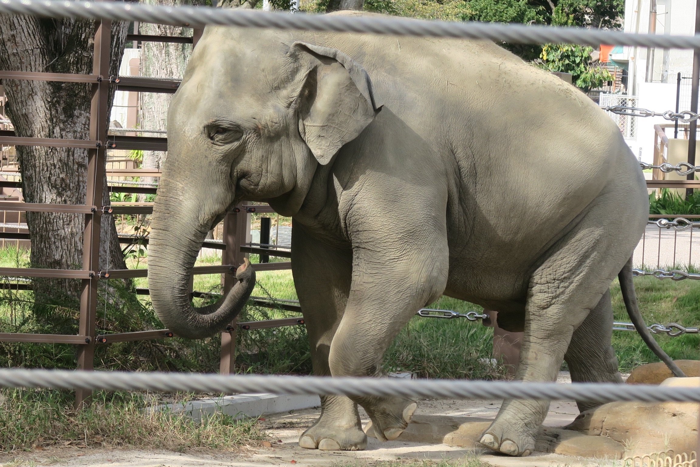 園館訪問ルポ】詩のある動物園（Ⅱ）―― 徳山動物園「まど・みちお詩碑