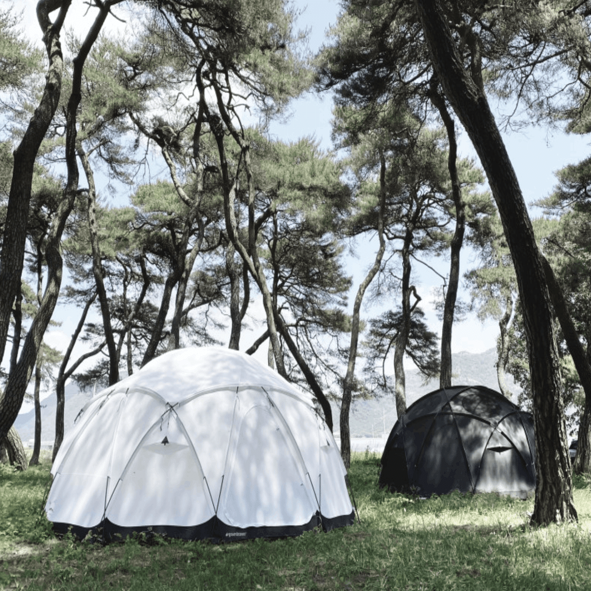 待望の！】グランドカバー アコンハウスドーム 4.75｜エモンセレクト