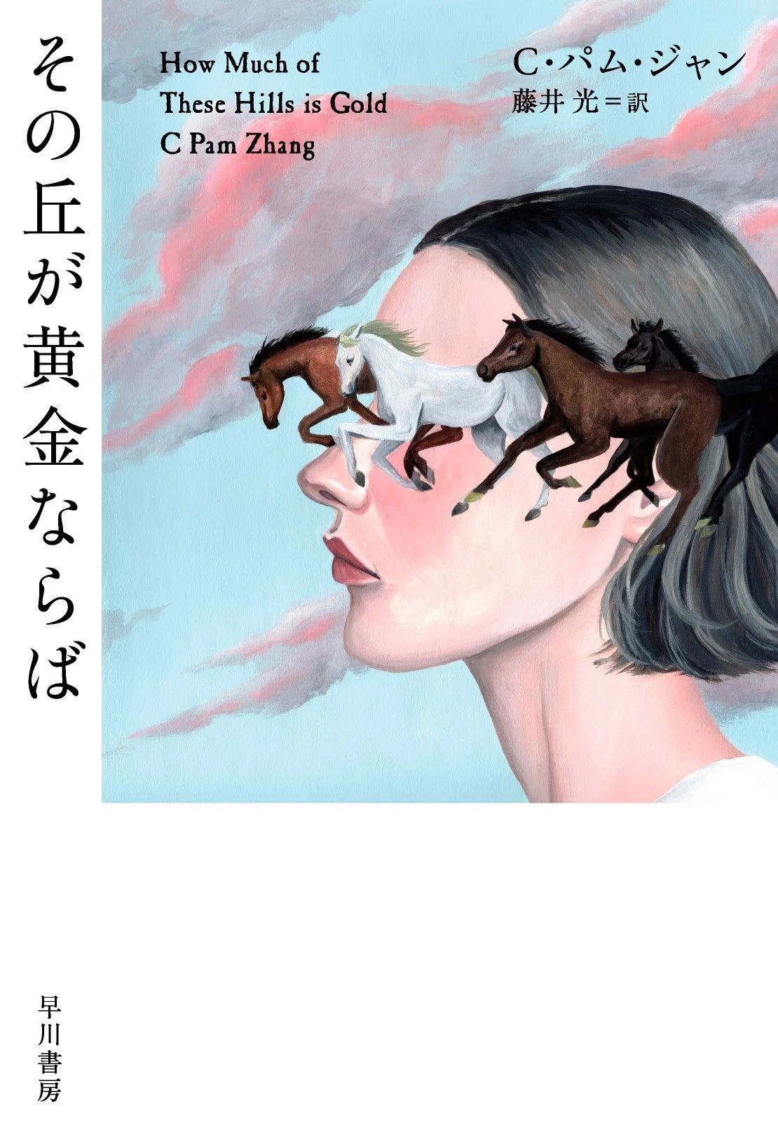 冒頭試し読み】2020年ブッカー賞候補作、C・パム・ジャン『その丘が