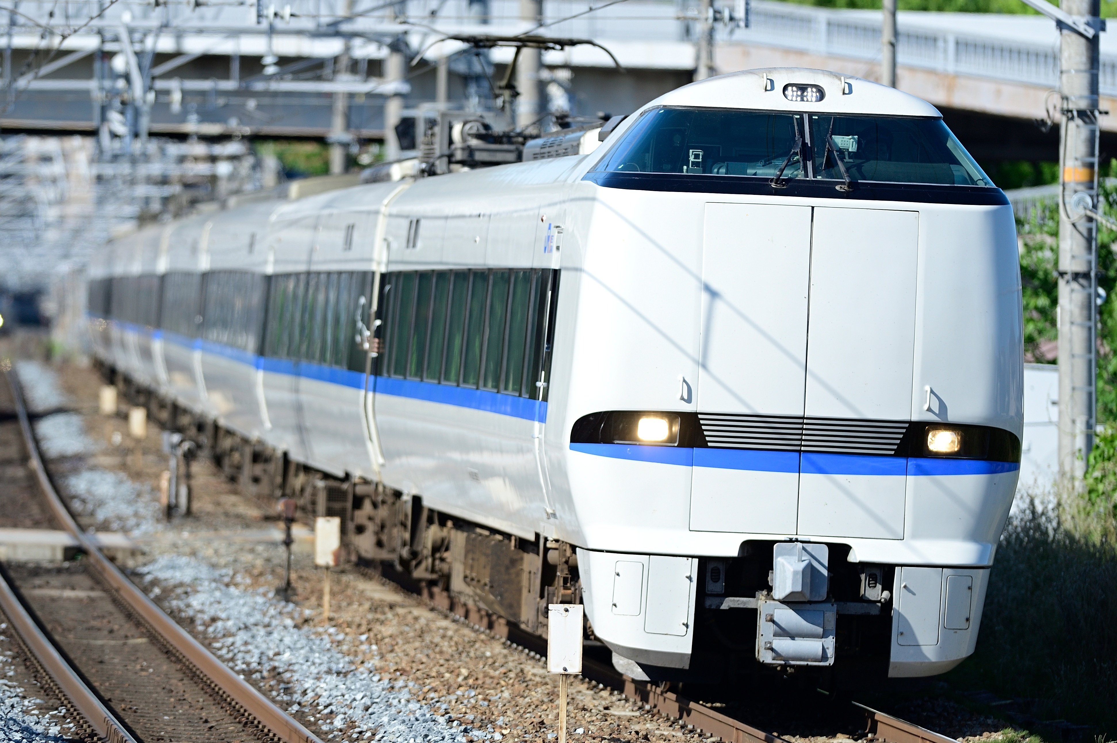 レンズレビュー】Ai AF-S NIKKOR 300mm F2.8D ED｜鷺