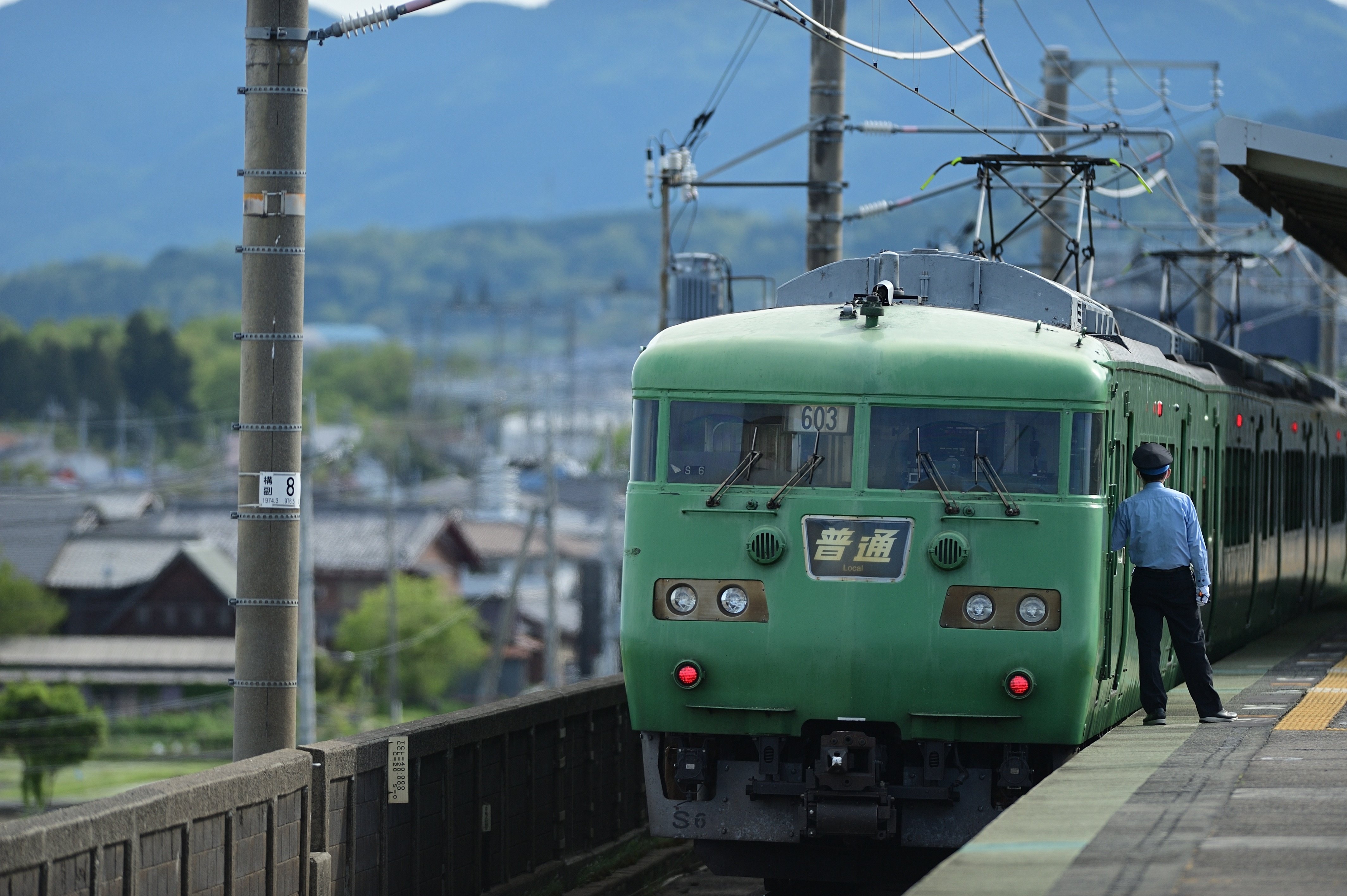 レンズレビュー】Ai AF-S NIKKOR 300mm F2.8D ED｜鷺