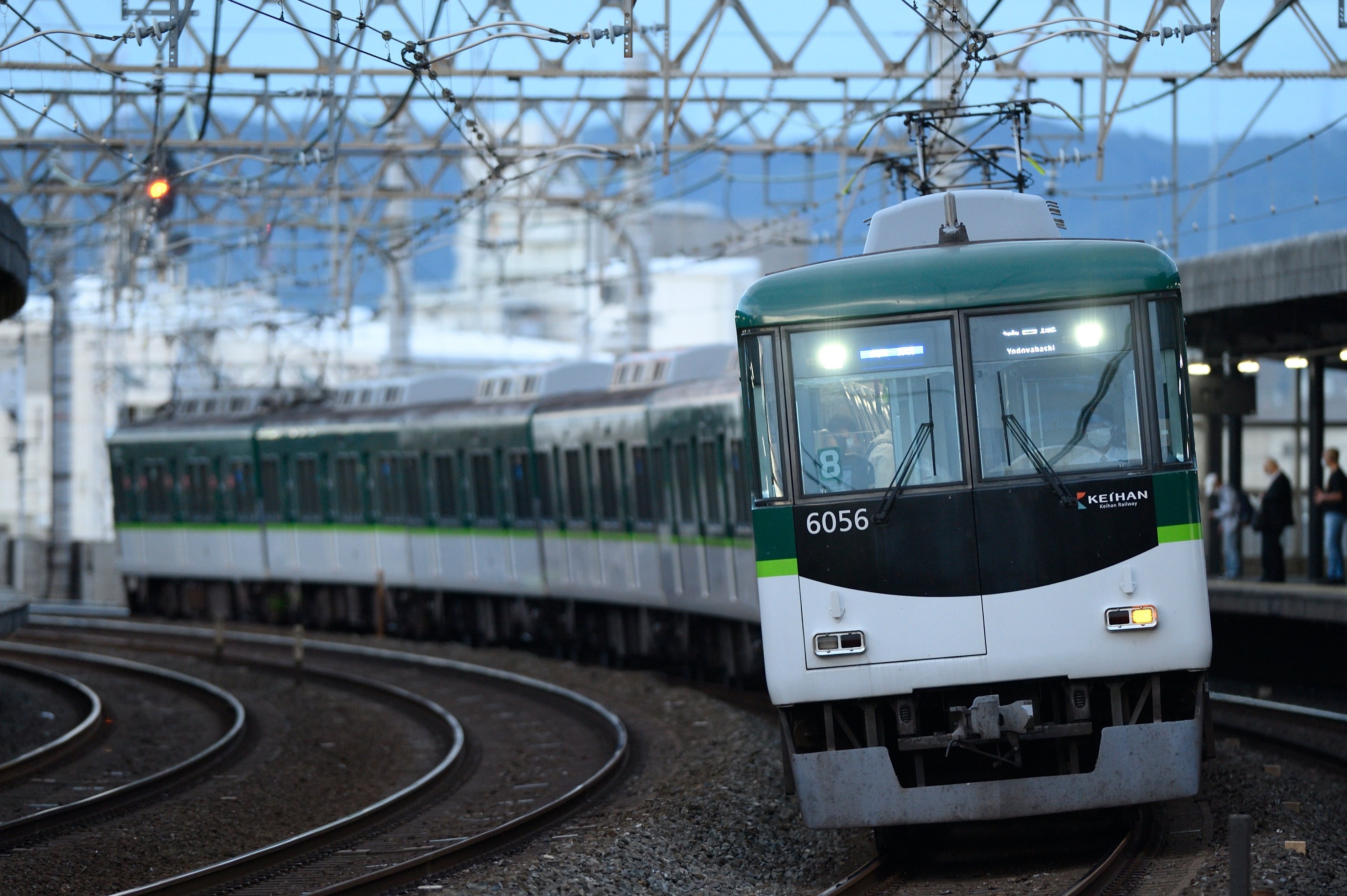 レンズレビュー】Ai AF-S NIKKOR 300mm F2.8D ED｜鷺