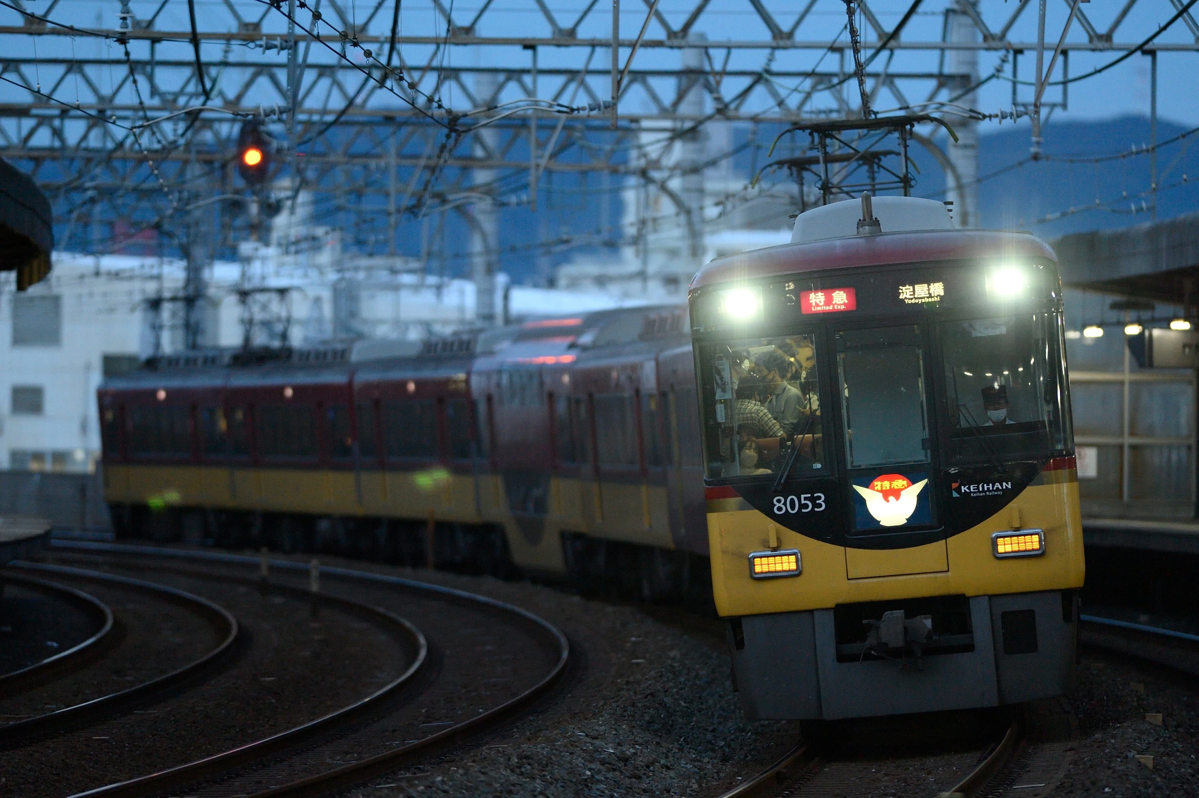 レンズレビュー】Ai AF-S NIKKOR 300mm F2.8D ED｜鷺
