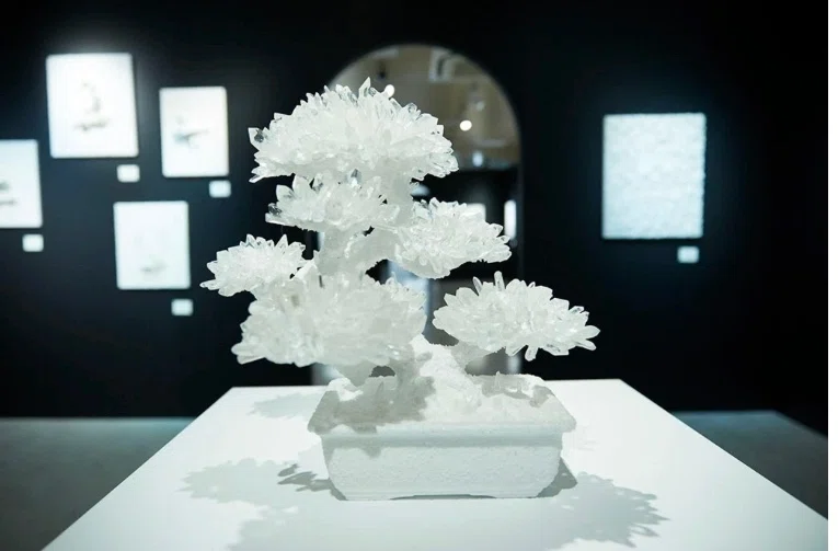 DaichiMiura三浦大地アート展】「阿蘇の水」「白」「自然」「シンプル