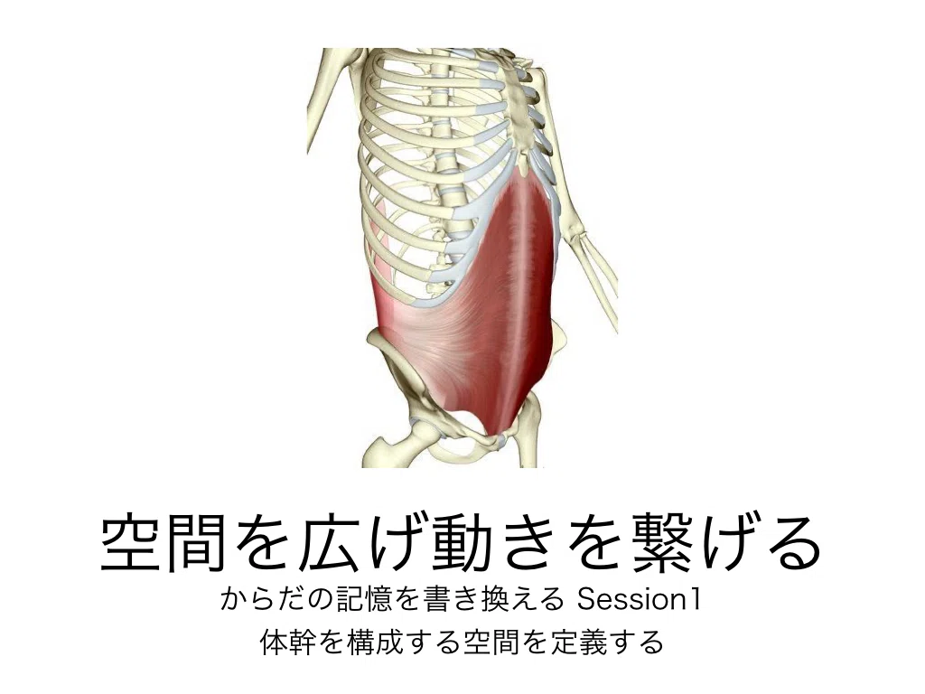 もっとからだの中の空間に気づきを|身体機能研究家 小林洋太 の 解体新書