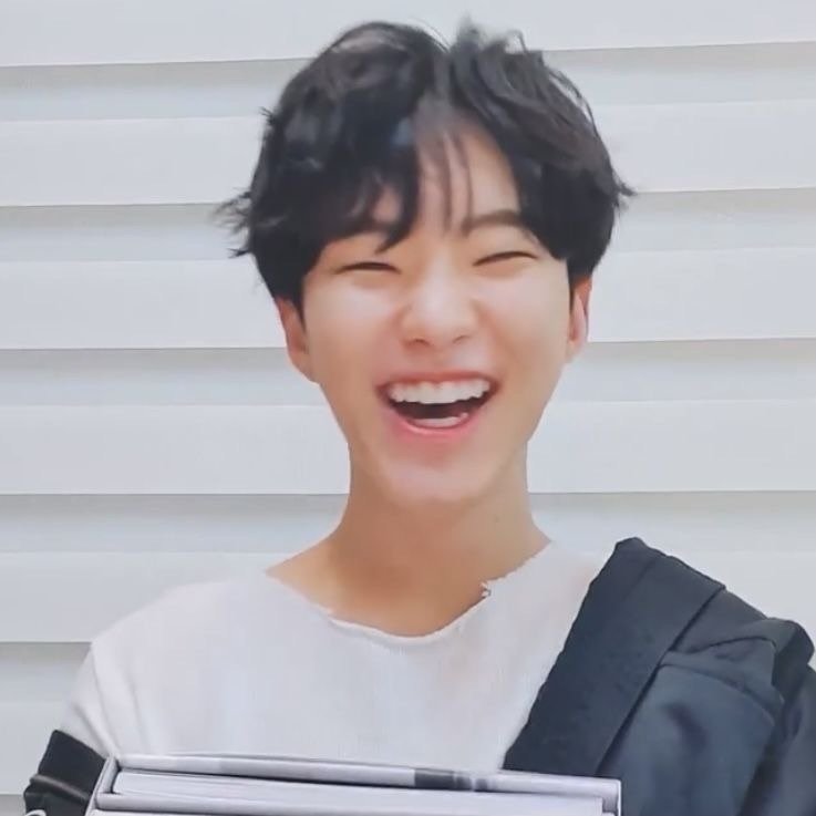 推しの好きなところ（SEVENTEEN ホシの場合）｜mi___