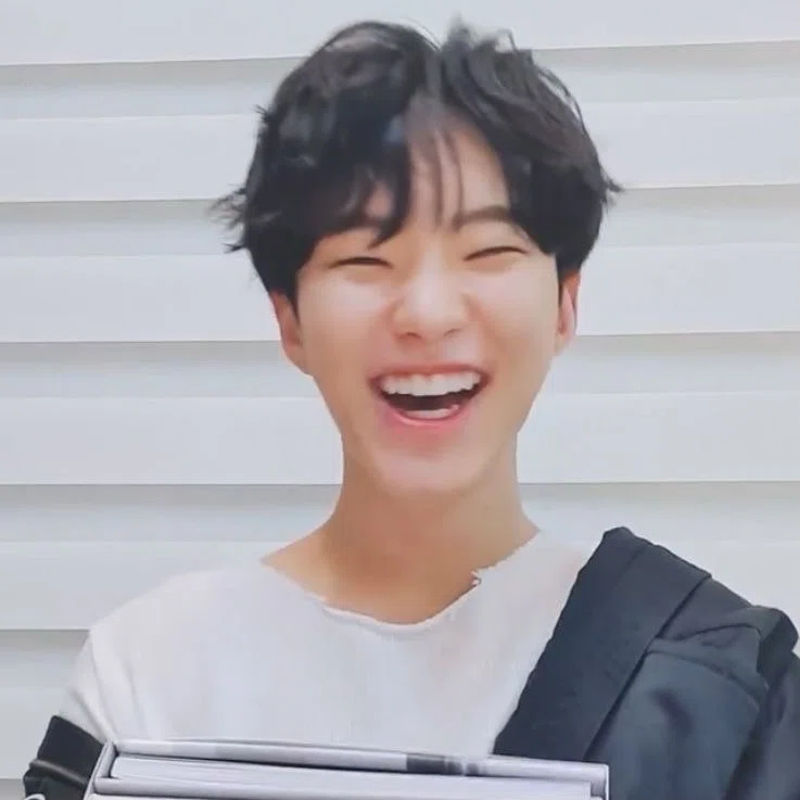 推しの好きなところ（SEVENTEEN ホシの場合）｜mi___