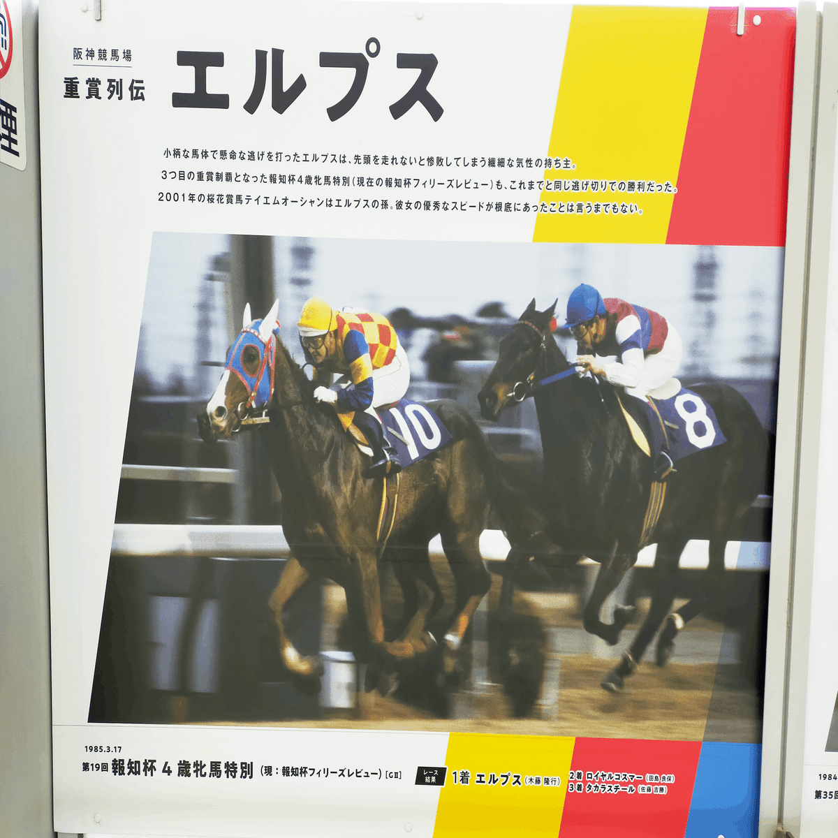 華やかなりし阪神競馬 (K-70 / smc PENTAX-DA☆200mmF2.8)｜夢望庵