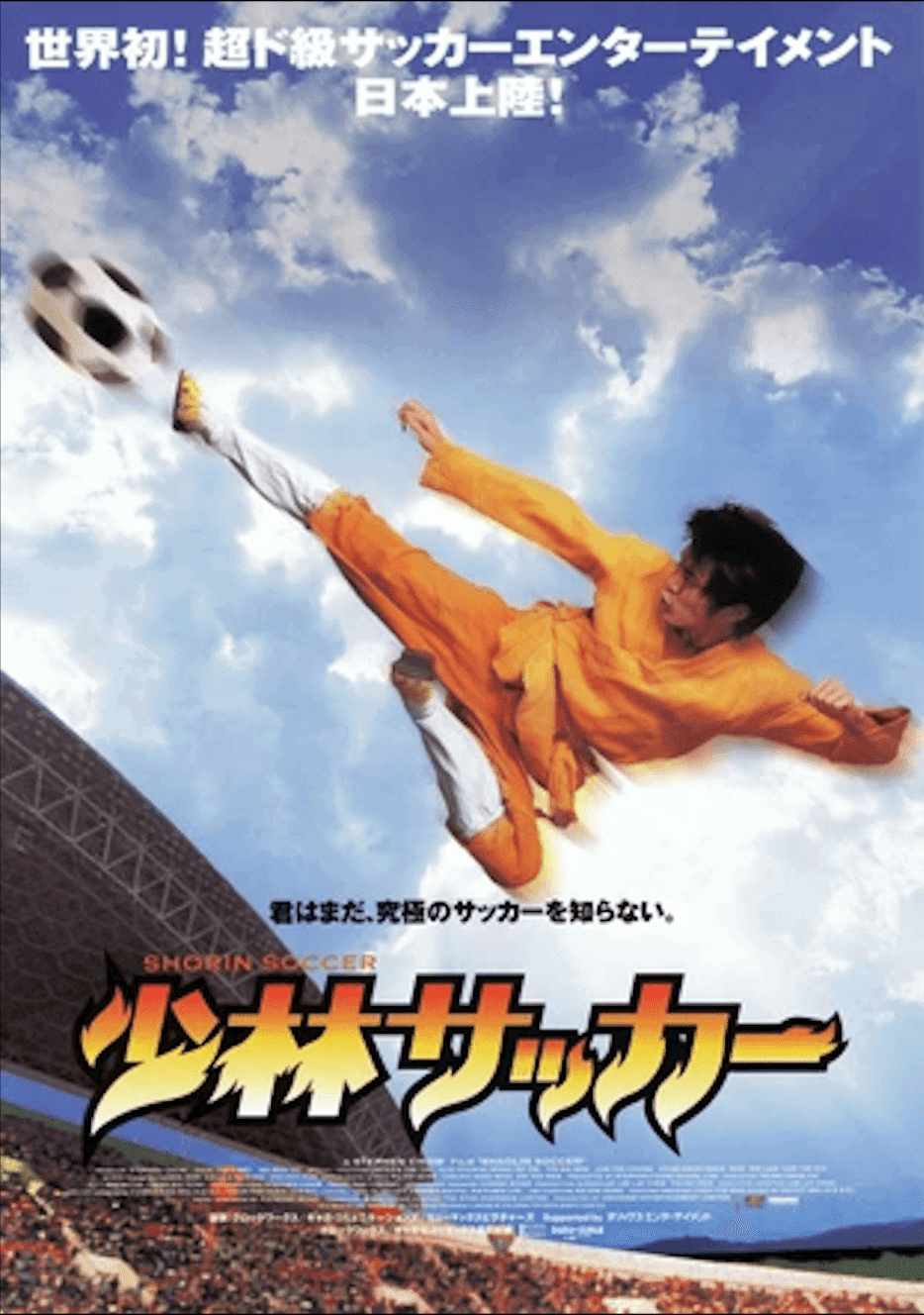 王者ペレ サッカーの世界 1 2 3 VHS