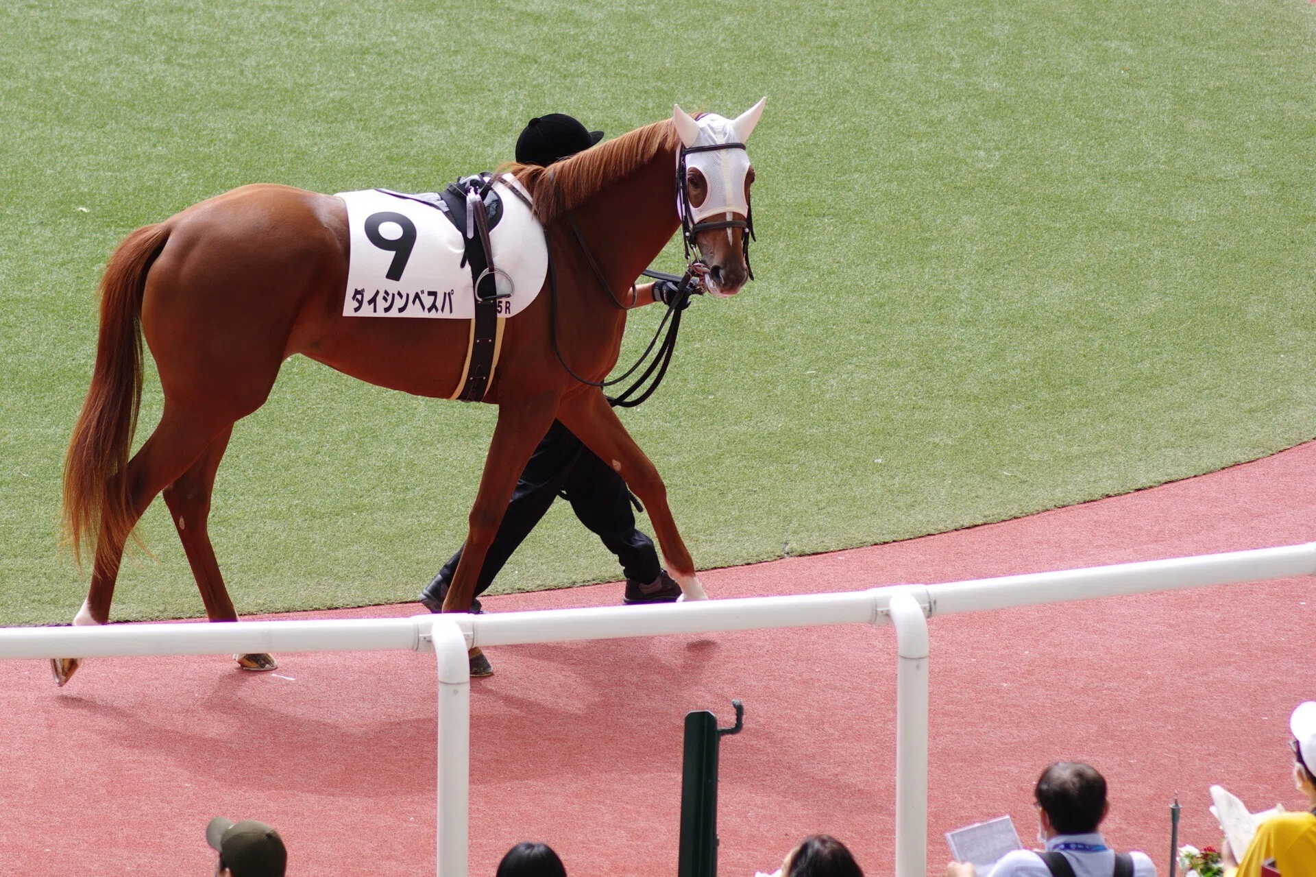 華やかなりし阪神競馬 (K-70 / smc PENTAX-DA☆200mmF2.8)｜夢望庵