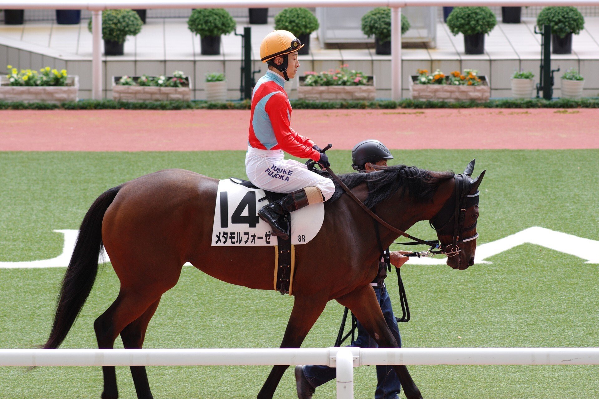 競馬 誘導馬(阪神競馬場 2005年W.S.J.S仕様)ゼッケン | oz.hostests.com