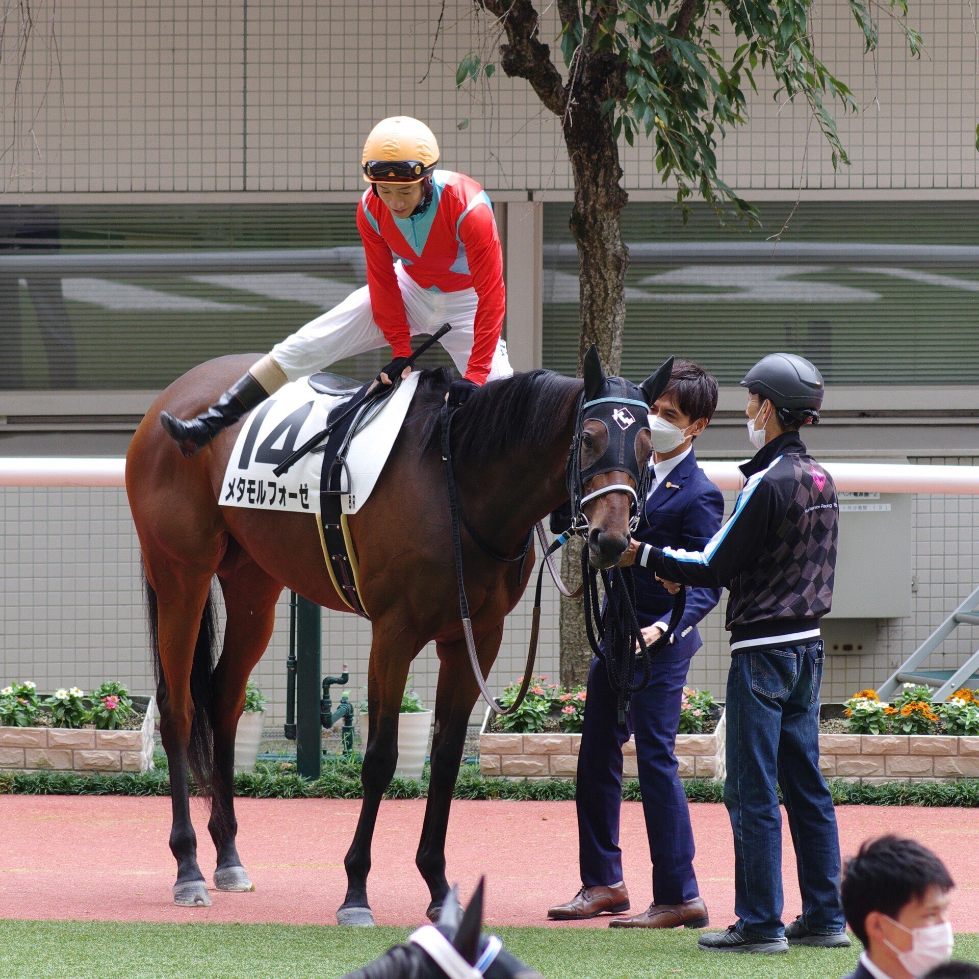 全競馬場出目V作戦 2001～2002 全競馬場出目V作戦 2001～2002