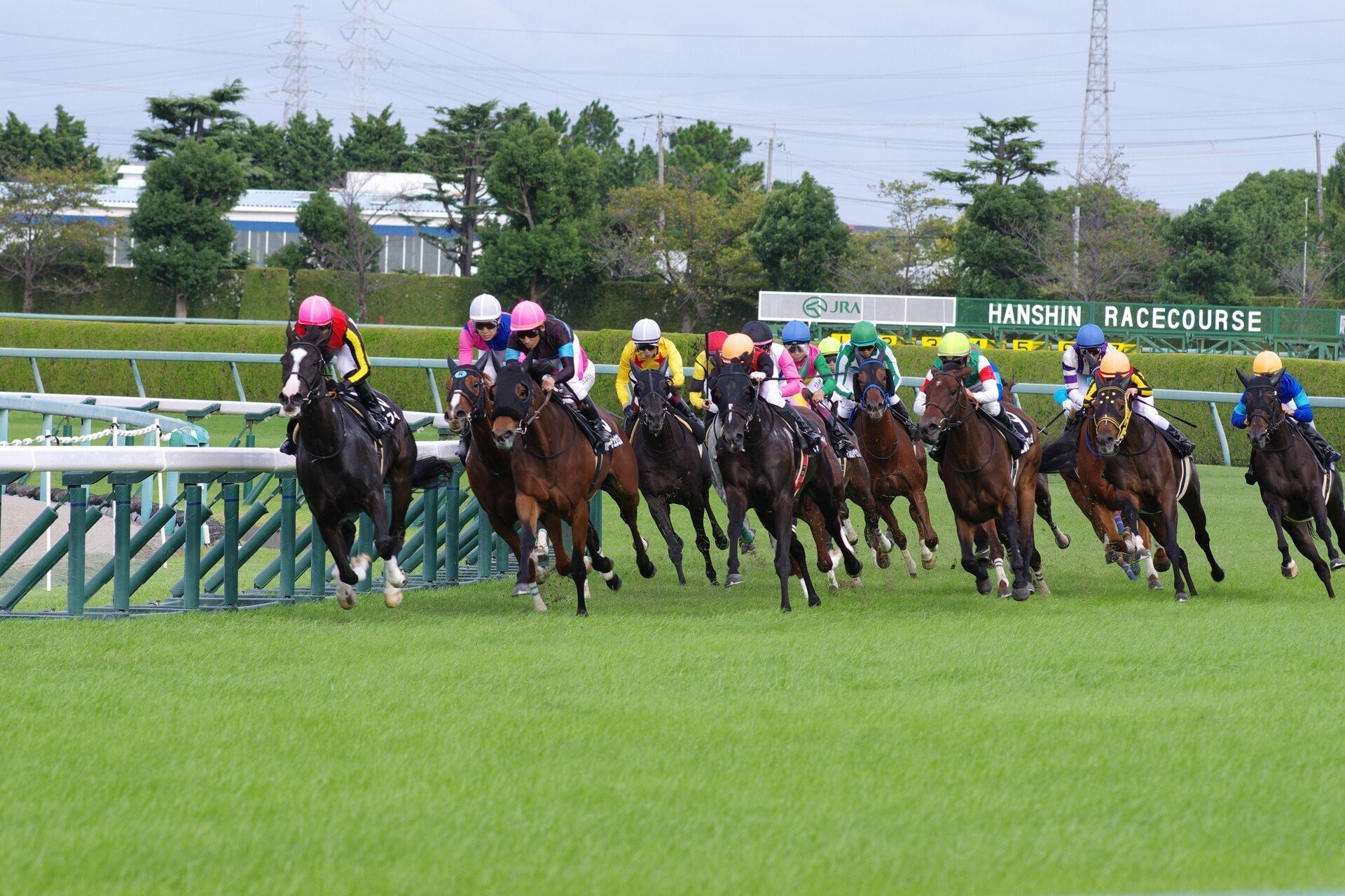 全競馬場出目V作戦 2001～2002 全競馬場出目V作戦 2001～2002 本