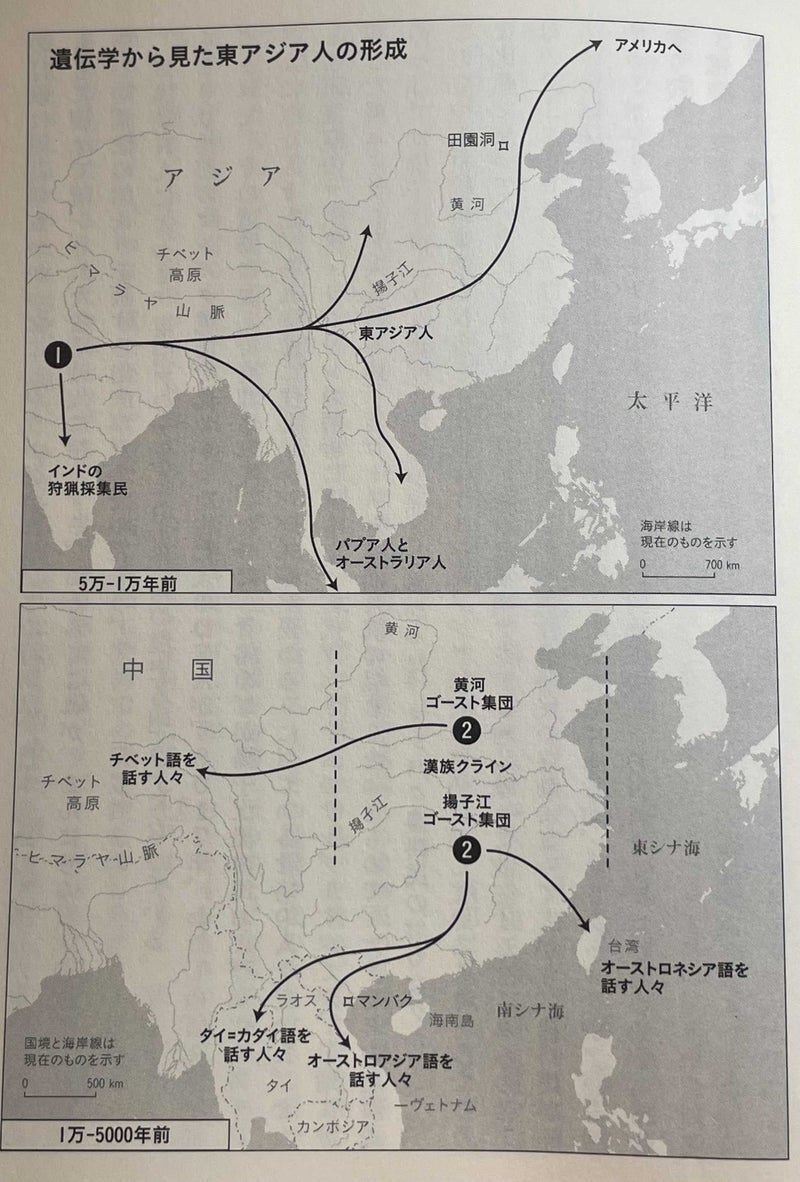 交雑する人類』その3：東・東南アジア編｜赤坂順