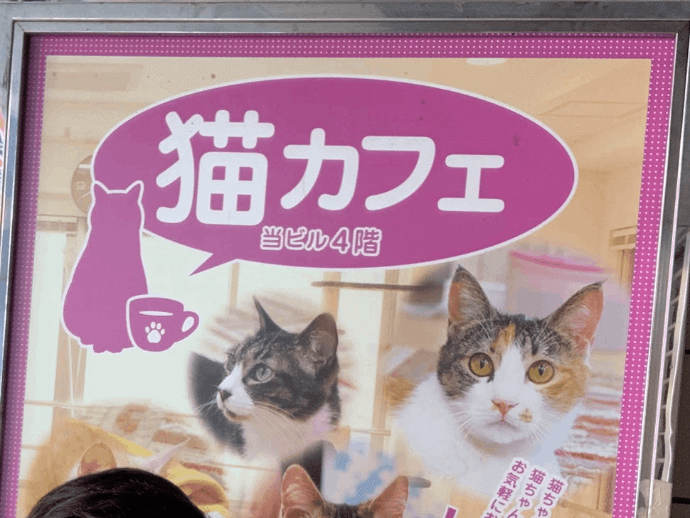 Tsnnyfmtxm1ecm Tsnnyfmtxm1ecm